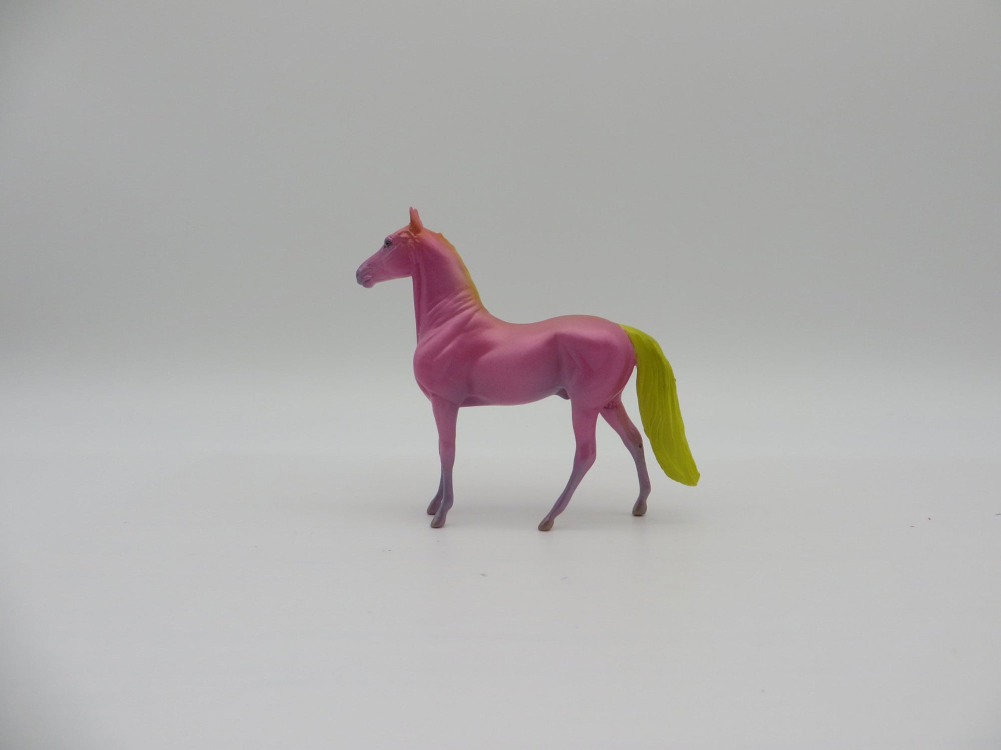 Bullockii-OOAK Shark Week Sea Slug Morgan Chip By Ellen Robbins 7/16/21