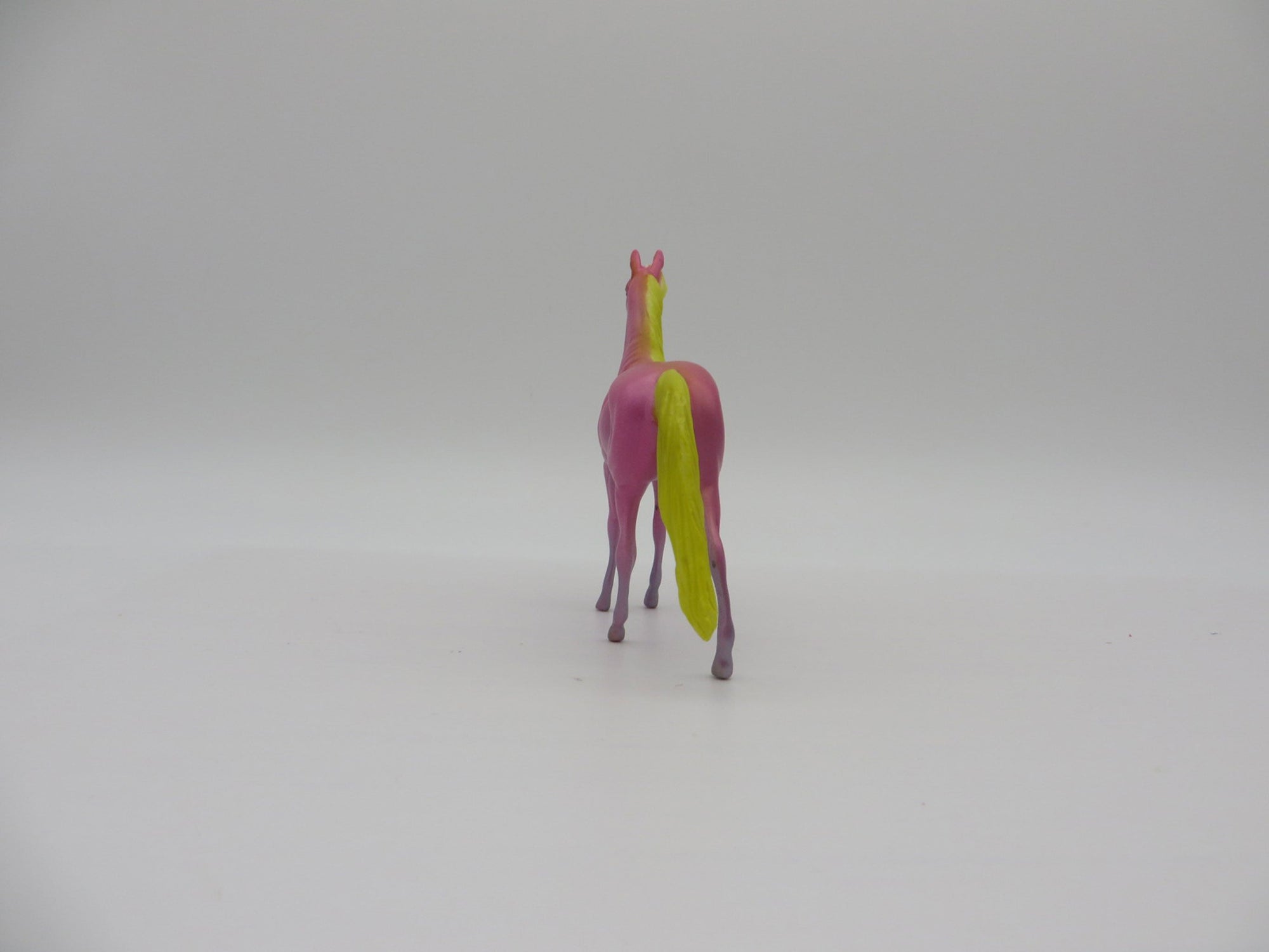 Bullockii-OOAK Shark Week Sea Slug Morgan Chip By Ellen Robbins 7/16/21