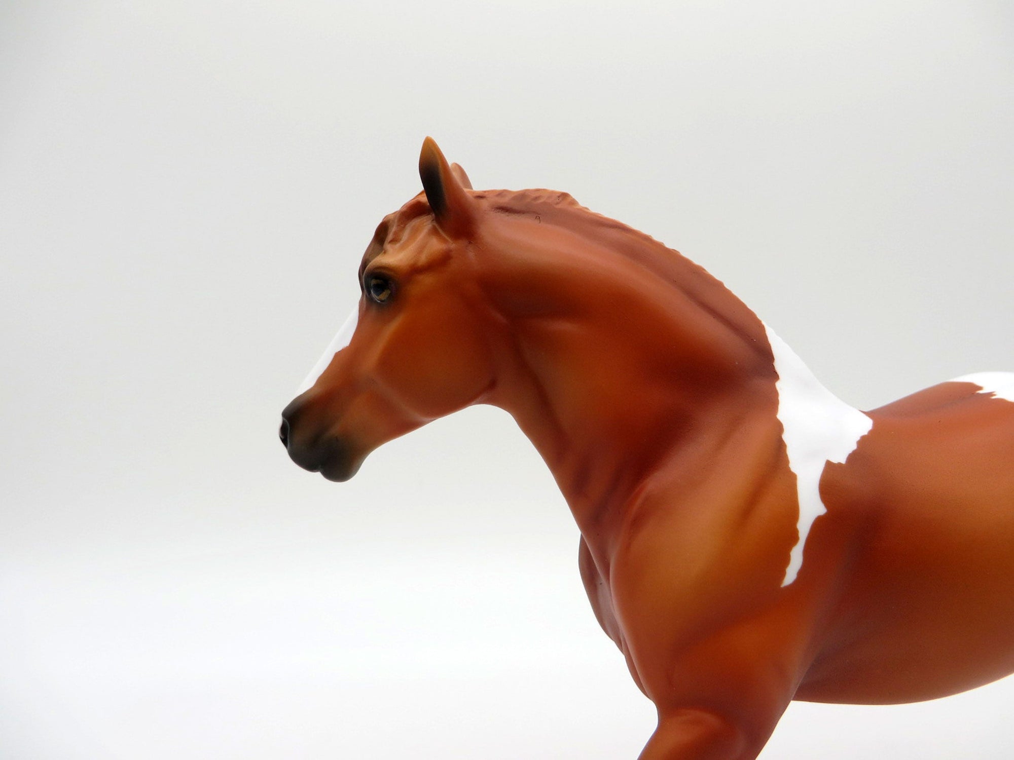 Burns-OOAK Chestnut Pinto Trotting Pebbles Draft  Painted By Ellen Robbins EQ21