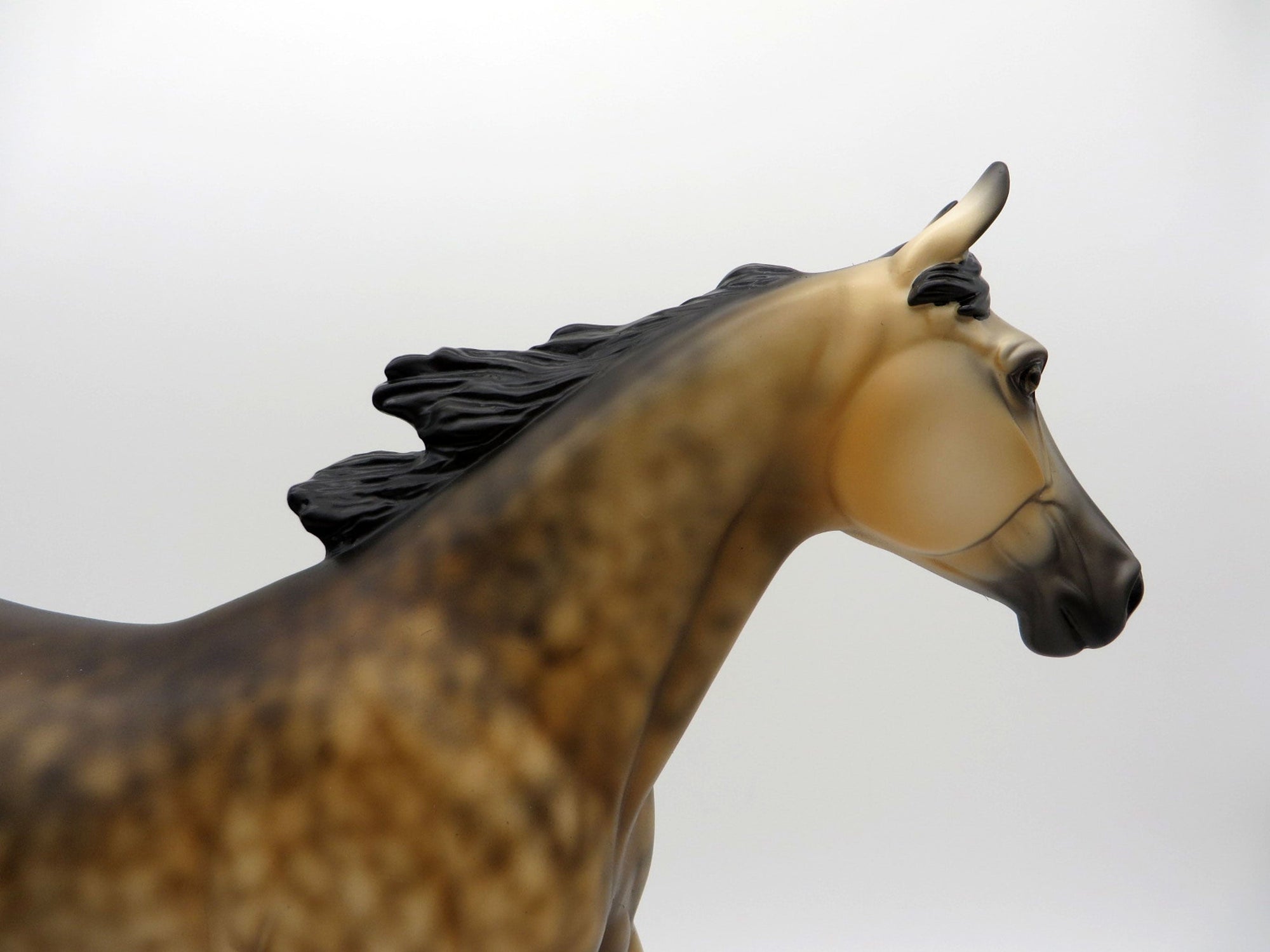 Butter Rum-LE-6 Dapple Buckskin Palouse painted by Ellen Robbins 7/30/21