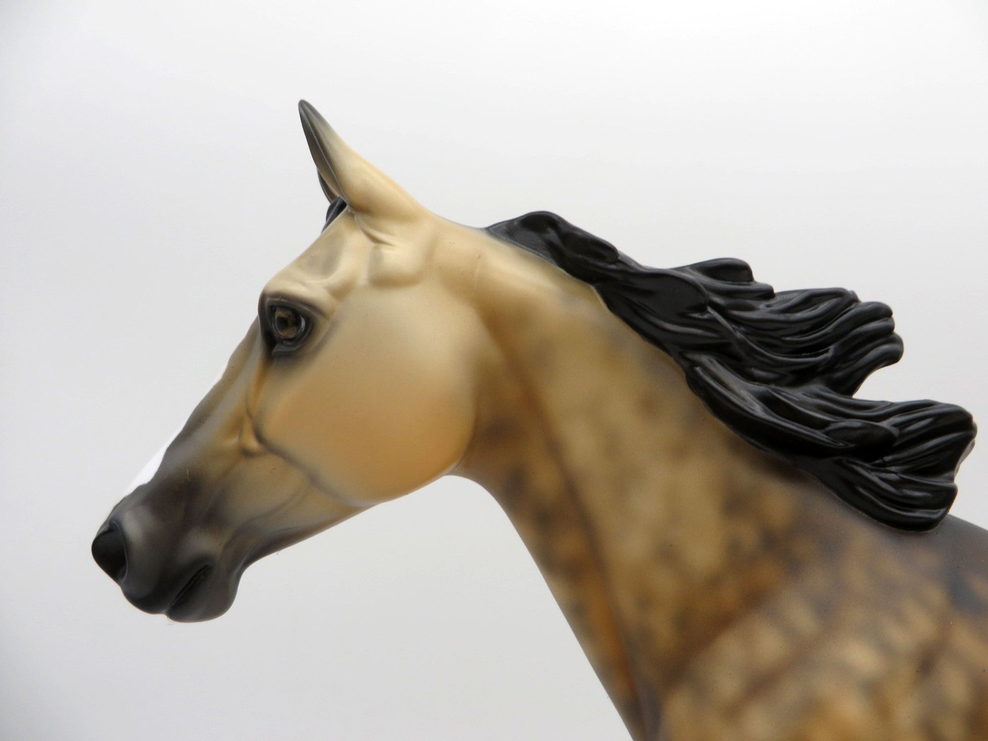 Butter Rum-LE-6 Dapple Buckskin Palouse painted by Ellen Robbins 7/30/21