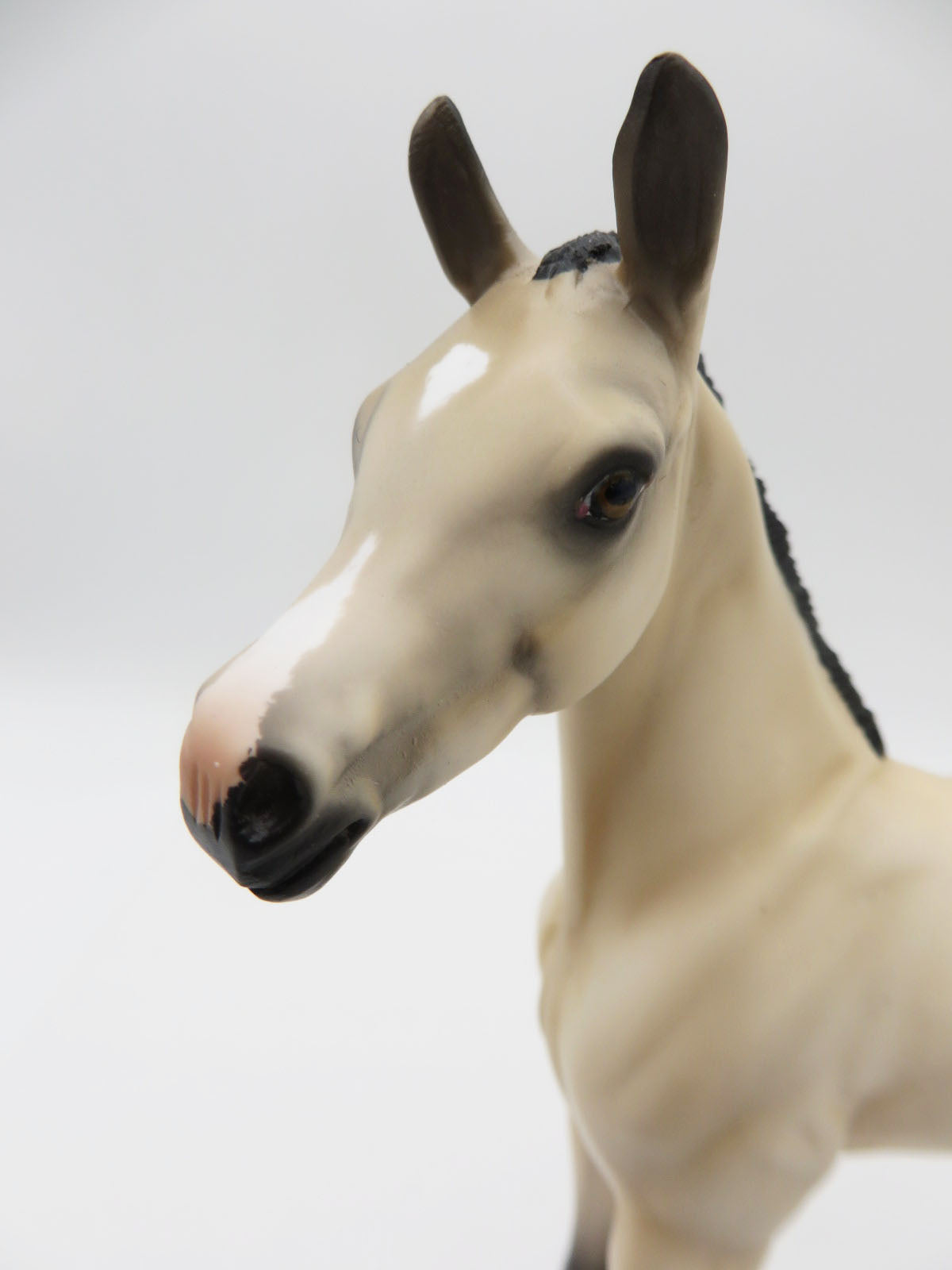 Buttermilk-OOAK Buckskin Foal by Angela Marleau P&amp;C 23