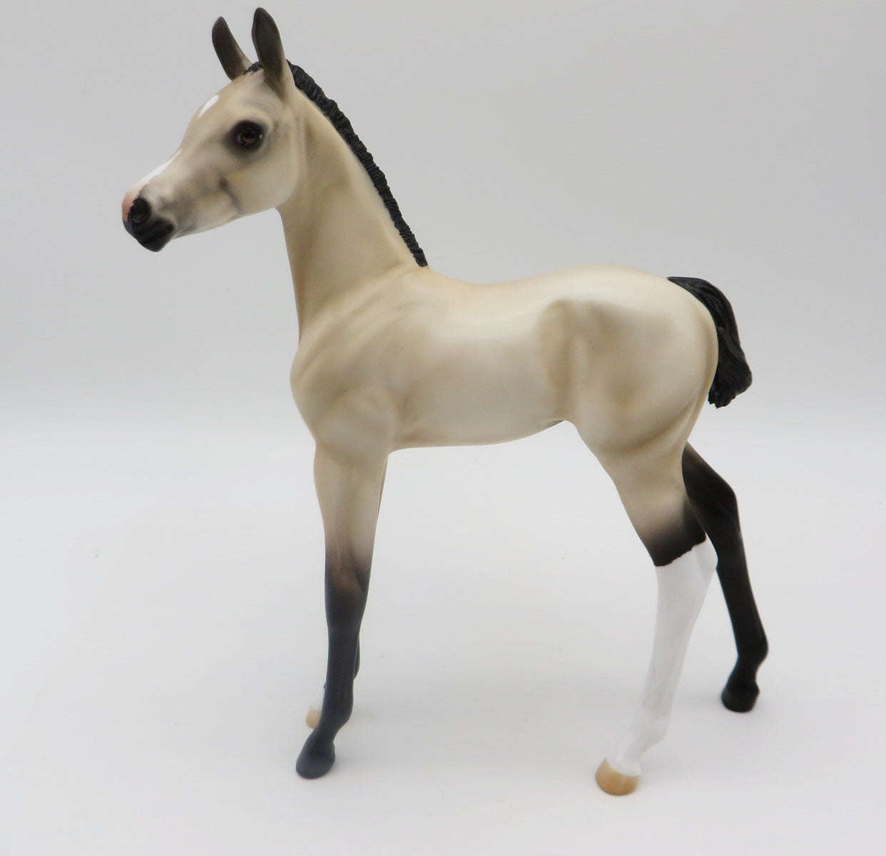 Buttermilk-OOAK Buckskin Foal by Angela Marleau P&C 23