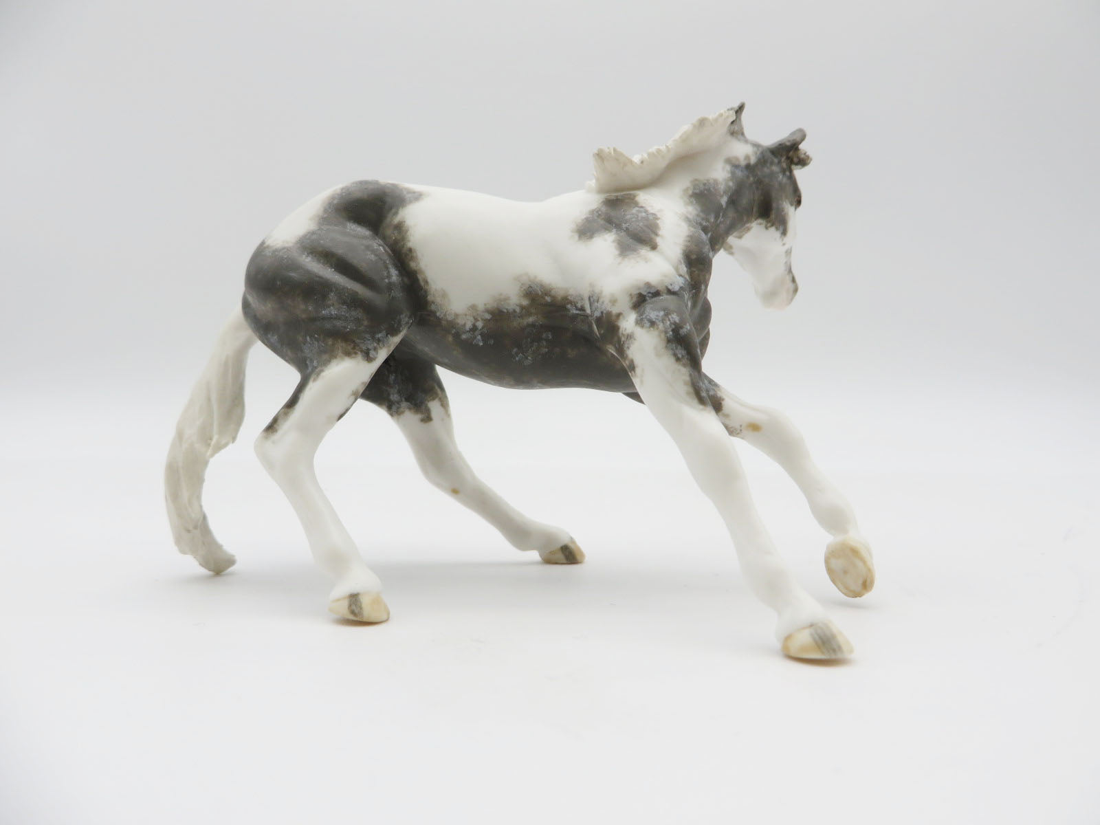 CANNYONLANDS- OOAK Grulla Cutter Chip Chip LHS 22