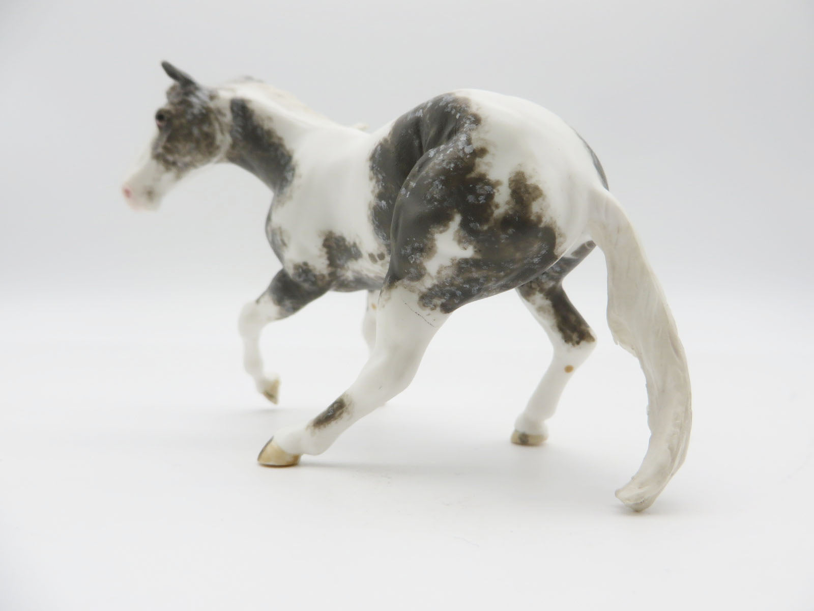 CANNYONLANDS- OOAK Grulla Cutter Chip Chip LHS 22