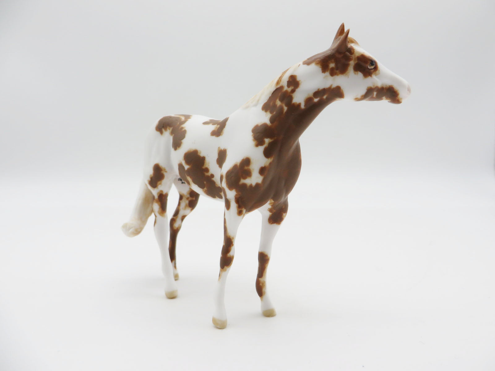 CARLSBAD - OOAK Chestnut Stock Chip LHS 22