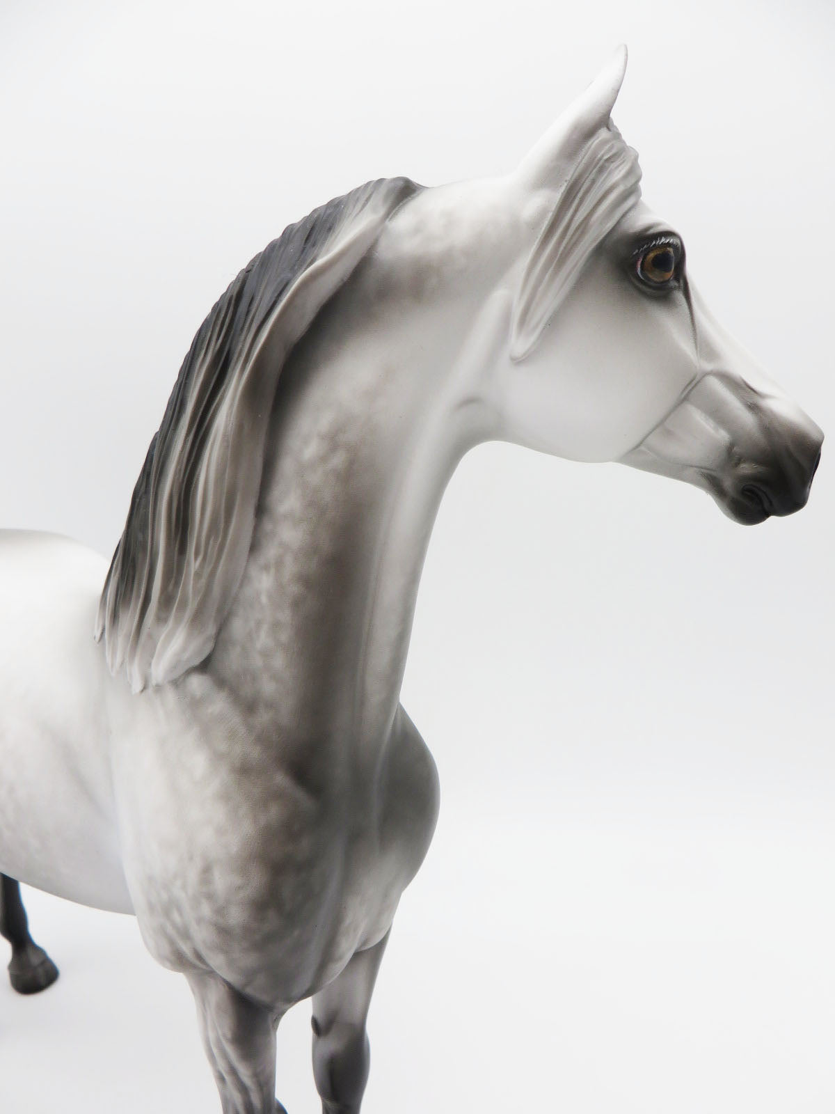 COME WITH ME - OOAK - DAPPLE GREY MORGAN PAINTED BY SHERYL LEISURE - BEST OFFERS - 10/21/22.