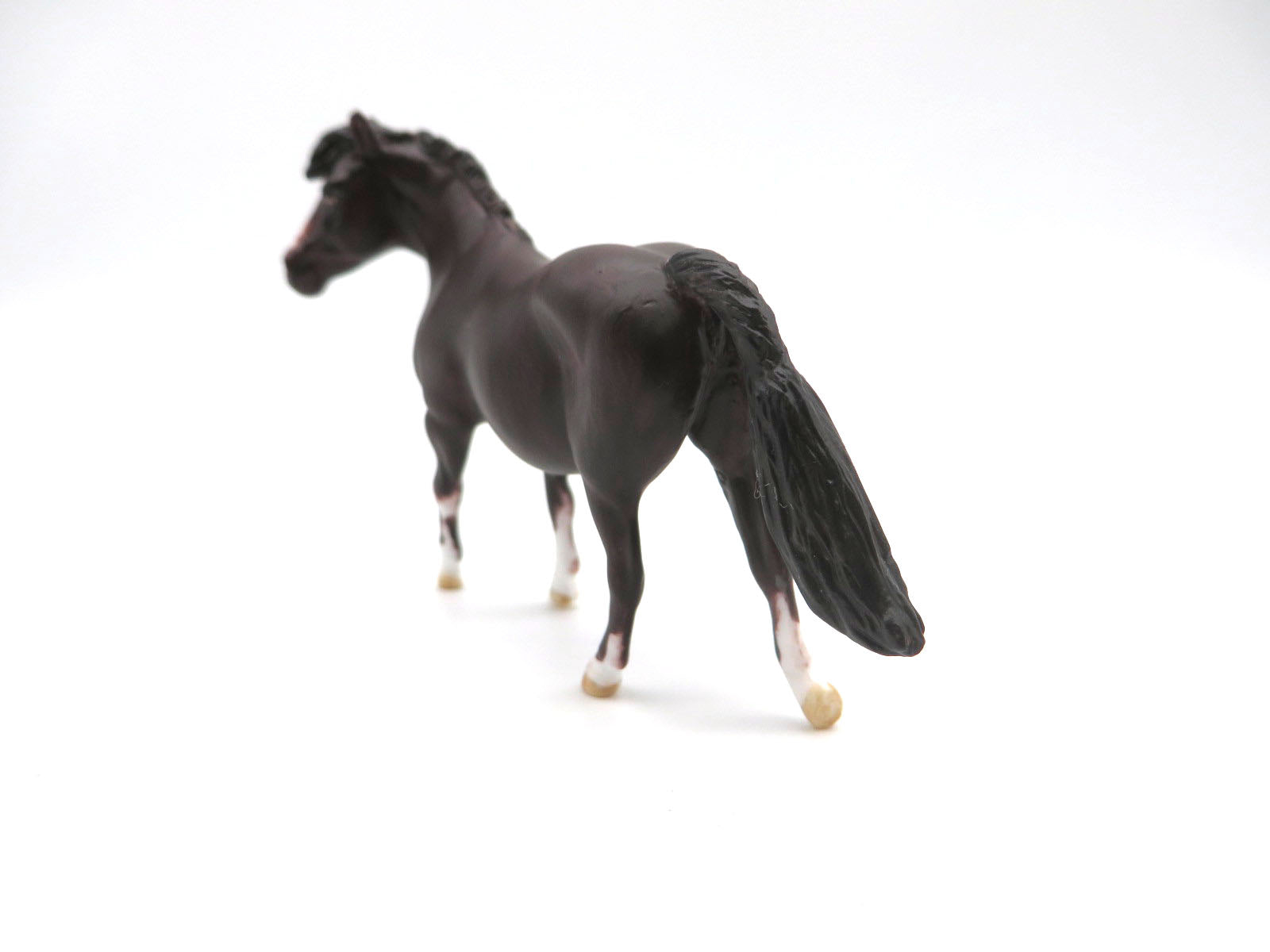 CUYAHOGA -OOAK Bay Pony Chip LHS 22