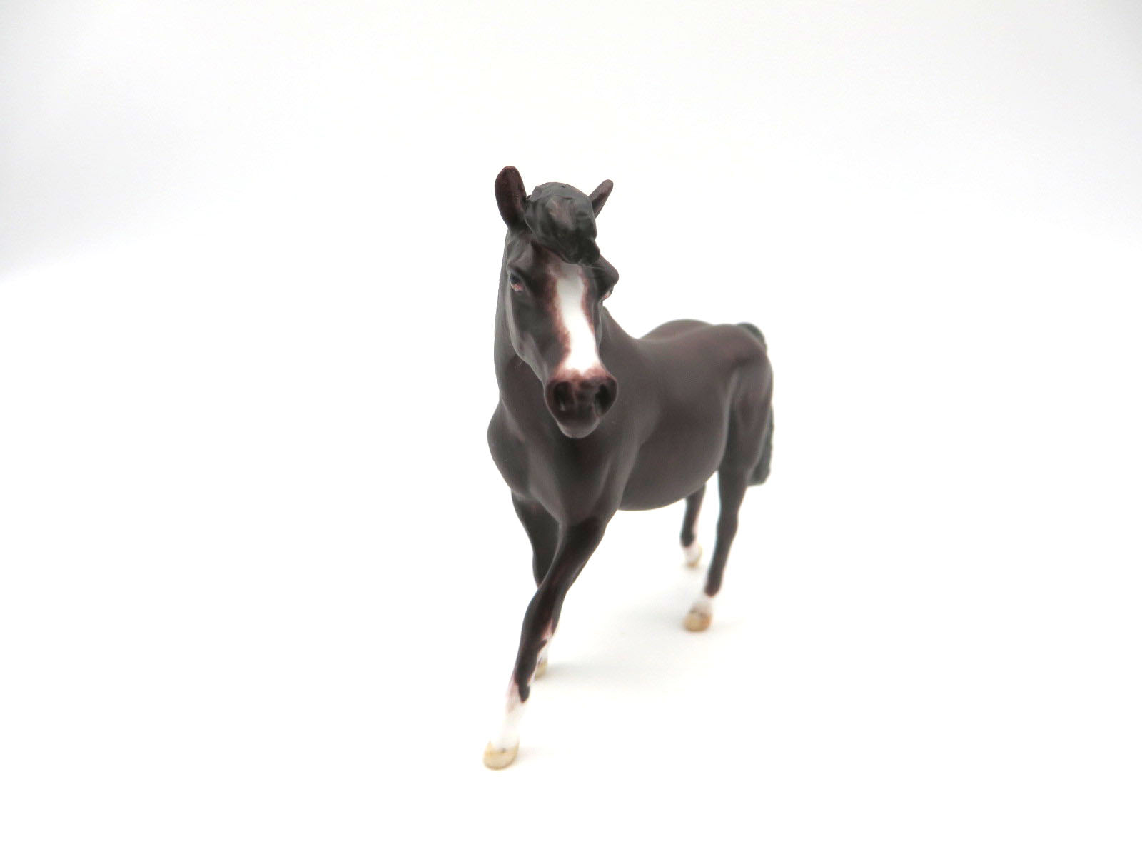 CUYAHOGA -OOAK Bay Pony Chip LHS 22