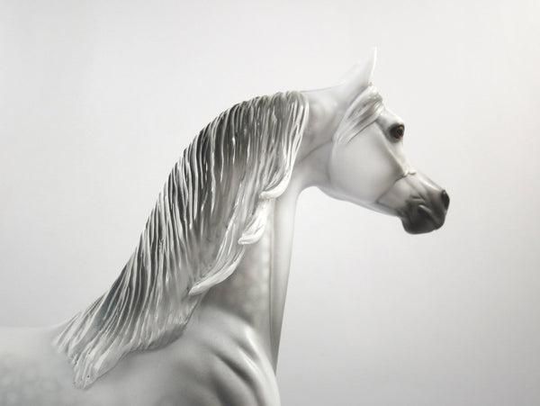 Candence-LE-15 Light Dapple Grey Arabian SB21 - Stone Horses