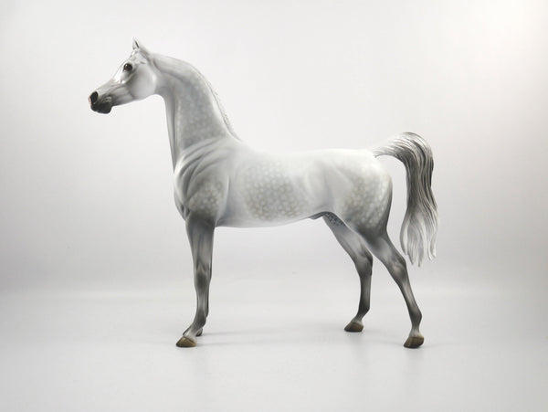 Candence-LE-15 Light Dapple Grey Arabian SB21 - Stone Horses