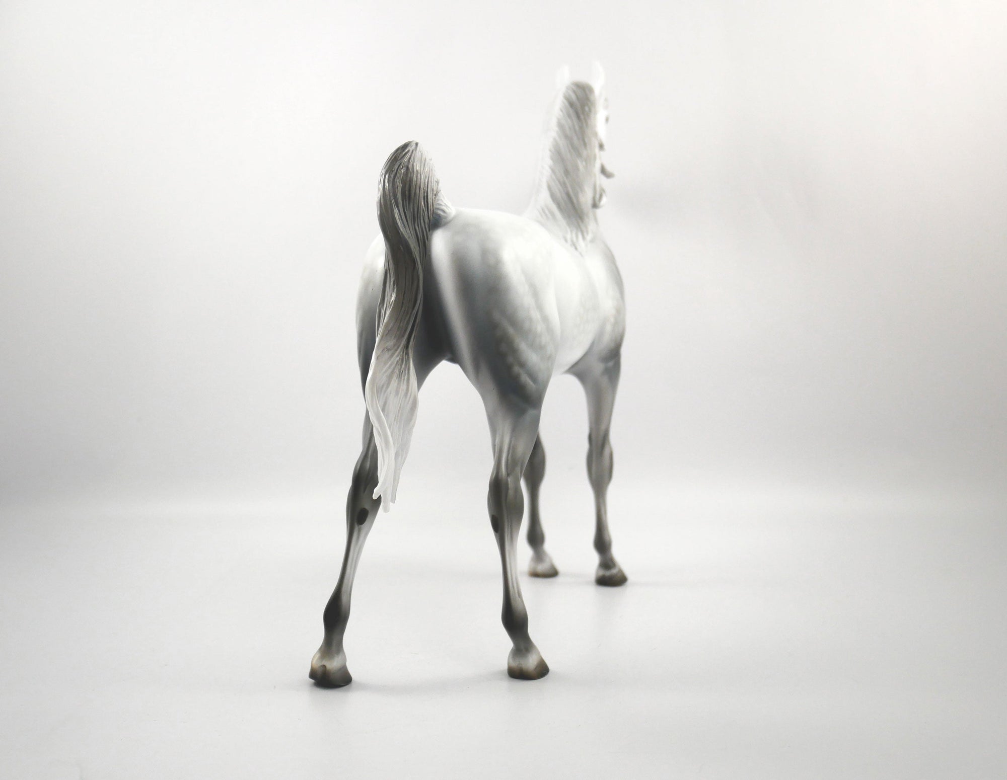 Candence-LE-15 Light Dapple Grey Arabian SB21