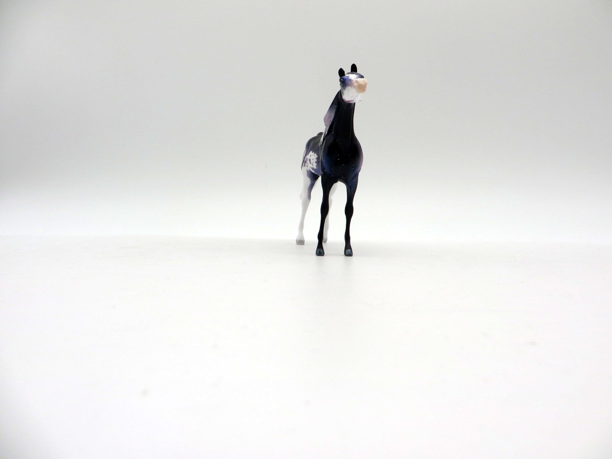 Caldera-OOAK Arabian Chip Deco Painted By Ellen Robbins  5/28/21