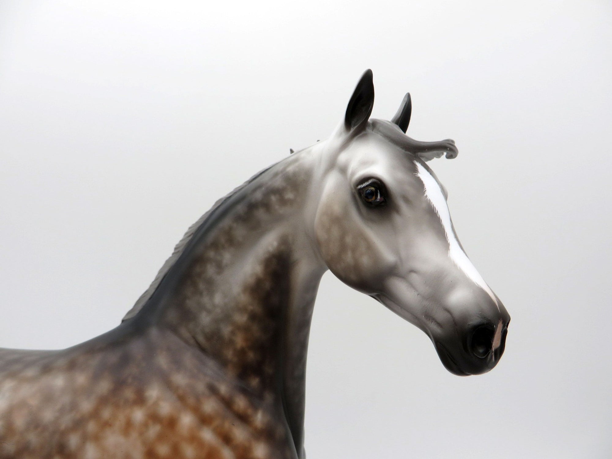 California Girl-OOAK Rose Grey Arabian Mare Painted by Sheryl Leisure 8/9/21