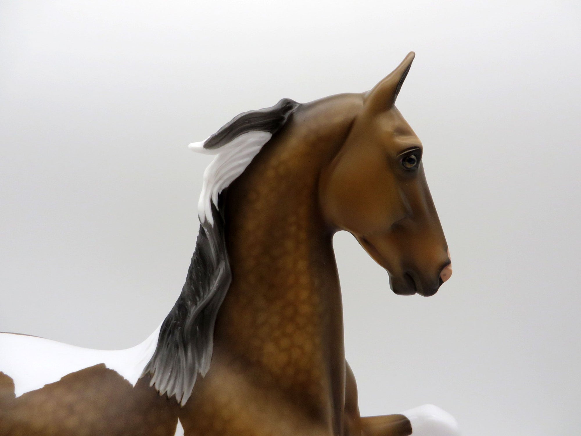 Calluna-OOAK Dapple Buckskin Pinto Saddlebred SHCF 2021