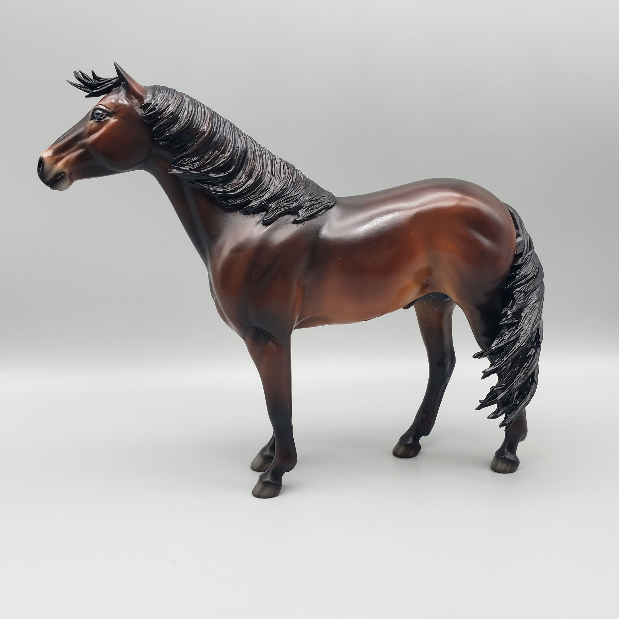 Calm Winter Night Basket 2 Equilocity 2023 Bay Mustang By Jess Hamill  EQ23