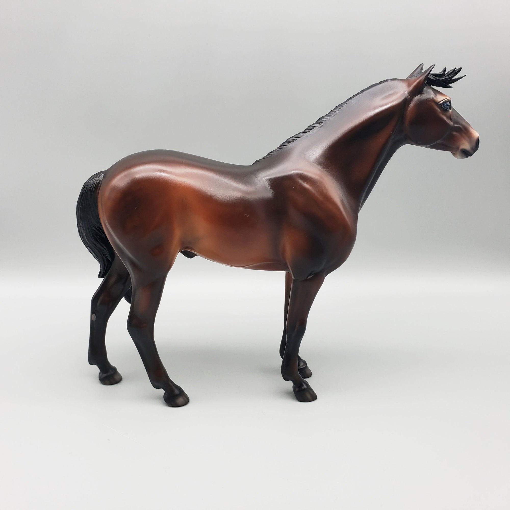 Calm Winter Night Basket 2 Equilocity 2023 Bay Mustang By Jess Hamill  EQ23