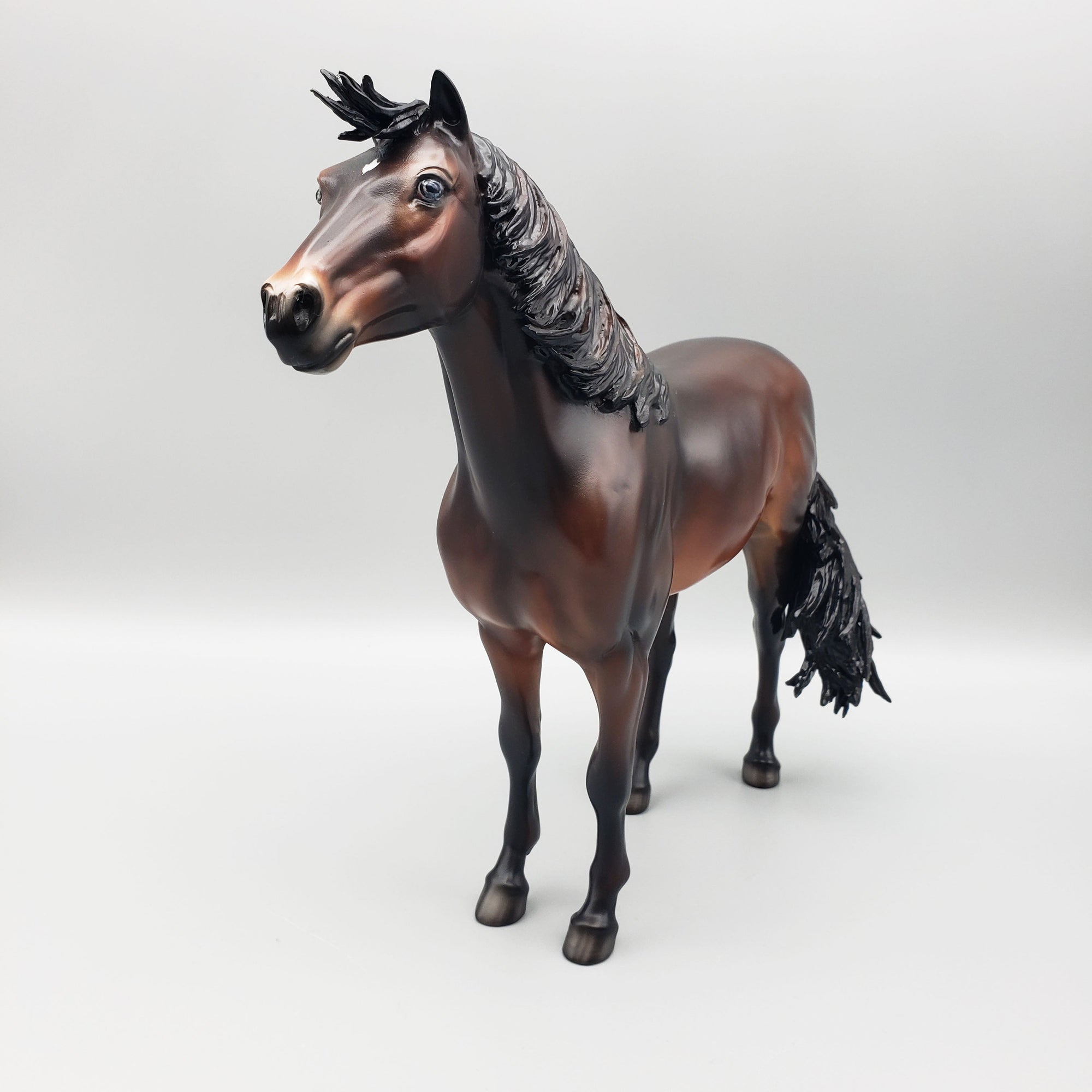 Calm Winter Night Basket 2 Equilocity 2023 Bay Mustang By Jess Hamill  EQ23