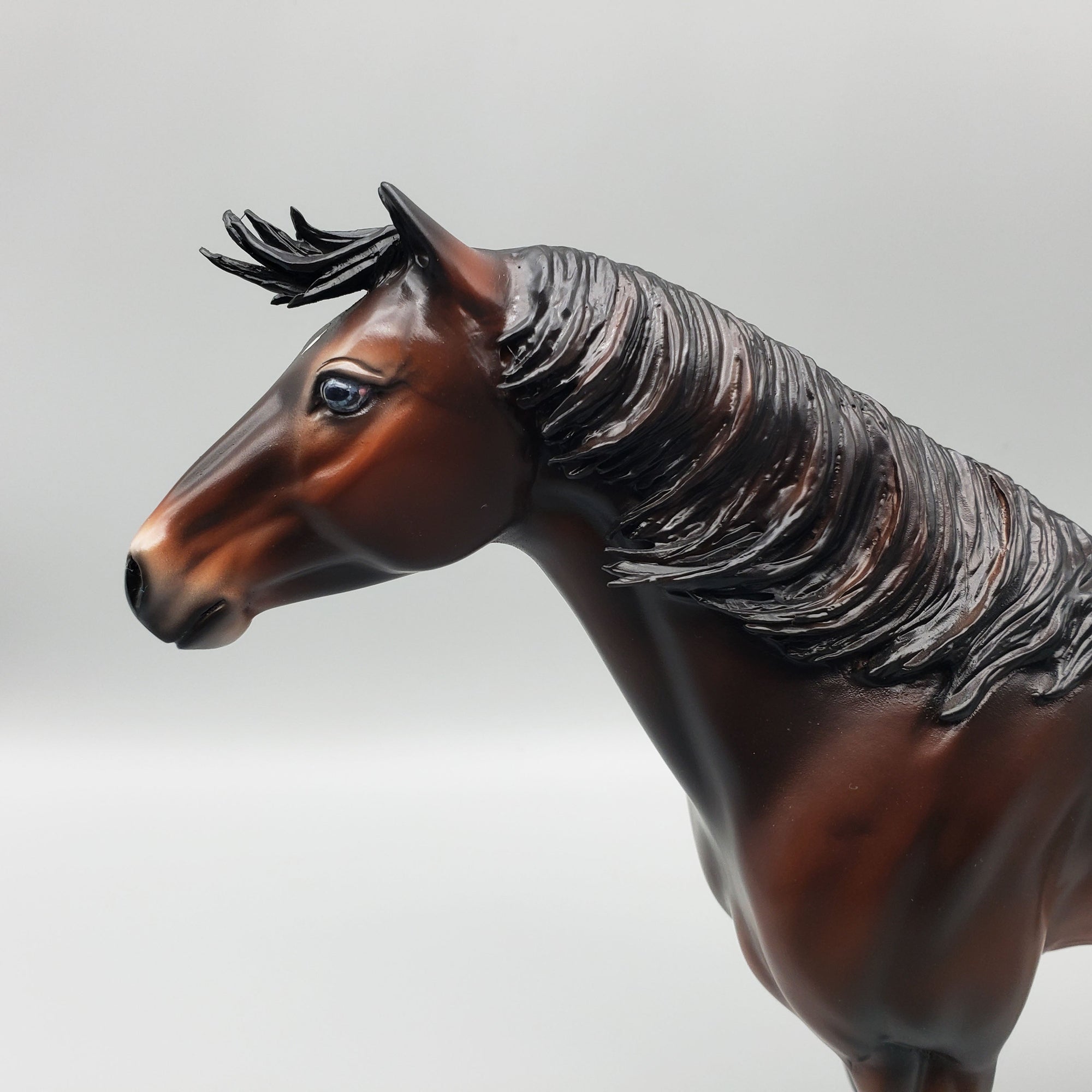 Calm Winter Night Basket 2 Equilocity 2023 Bay Mustang By Jess Hamill  EQ23