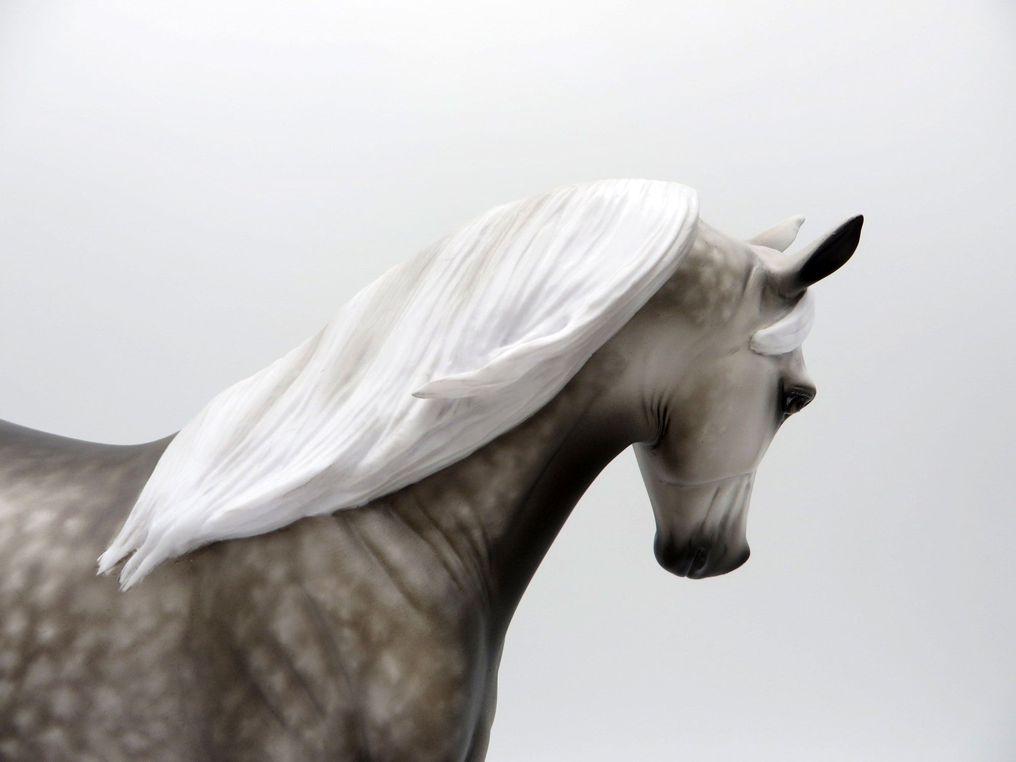 Cameryn-OOAK TWH Dapple Grey Painted By Sheryl Leisure  5/17/21