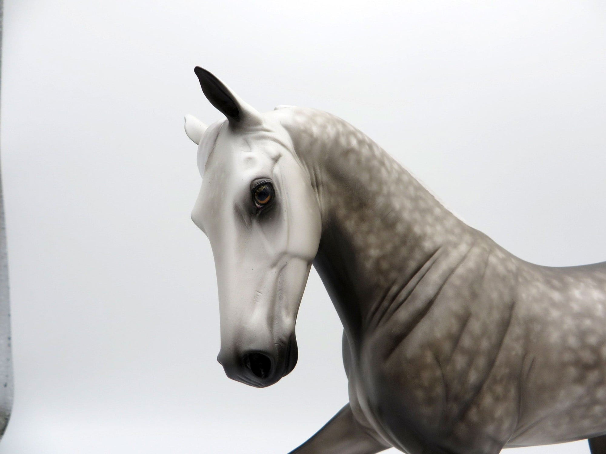 Cameryn-OOAK TWH Dapple Grey Painted By Sheryl Leisure  5/17/21