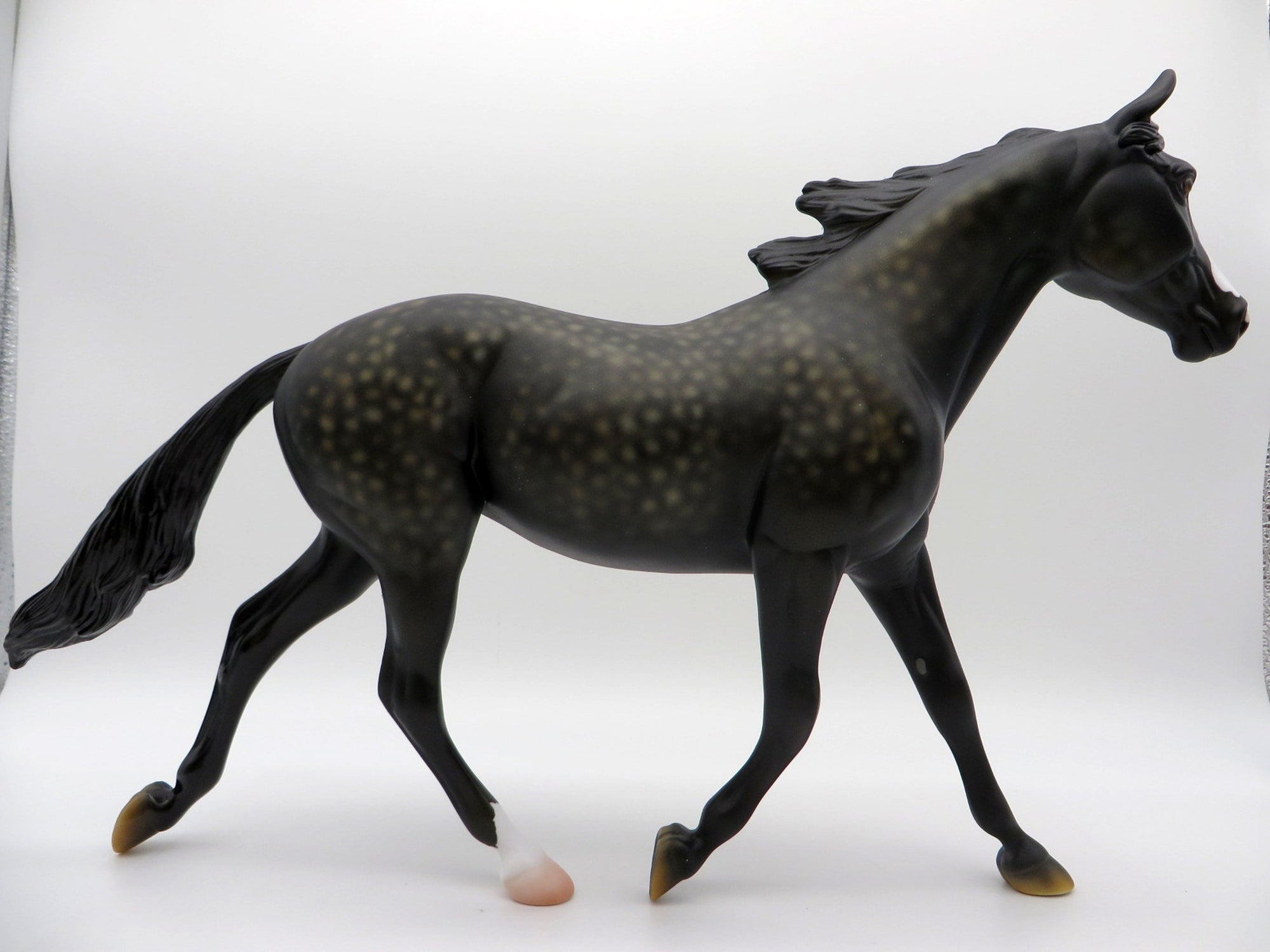 Campfire Songs-OOAK Dapple Black Palouse Painted By Ellen Robbins 6/11/21