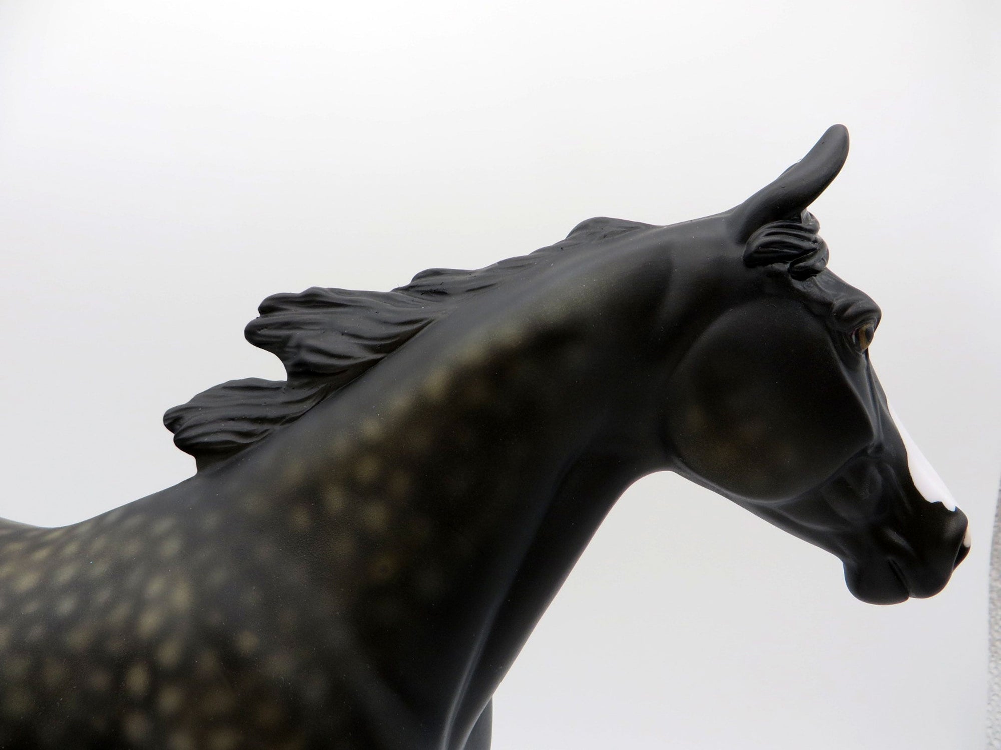 Campfire Songs-OOAK Dapple Black Palouse Painted By Ellen Robbins 6/11/21