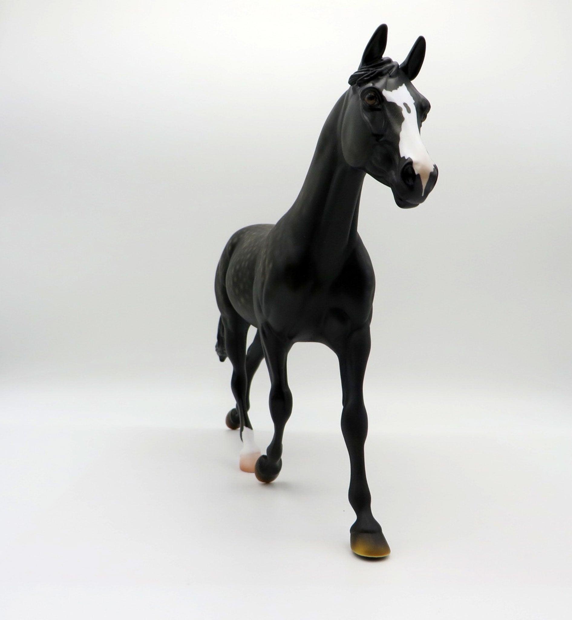 Campfire Songs-OOAK Dapple Black Palouse Painted By Ellen Robbins 6/11/21