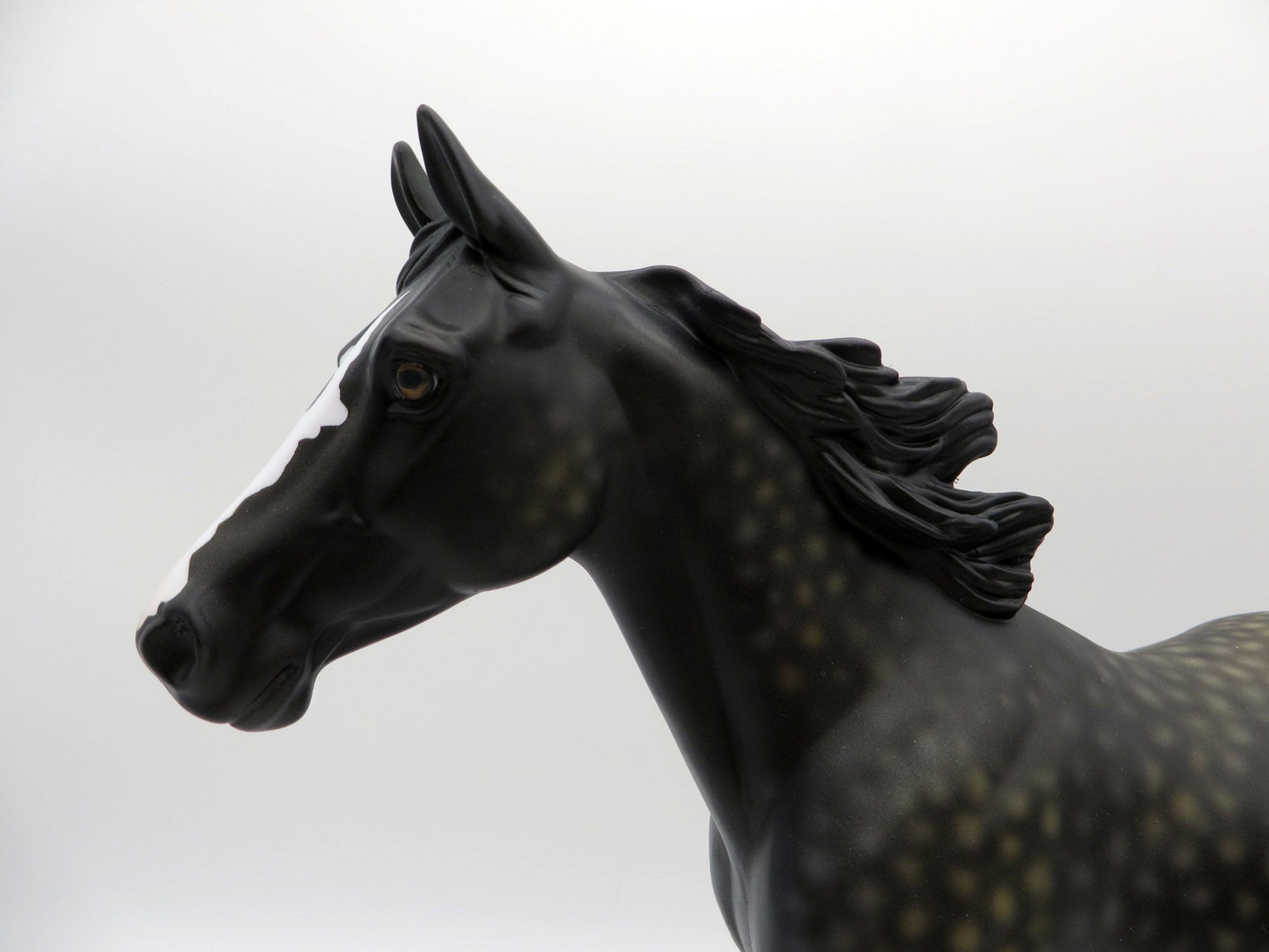 Campfire Songs-OOAK Dapple Black Palouse Painted By Ellen Robbins 6/11/21