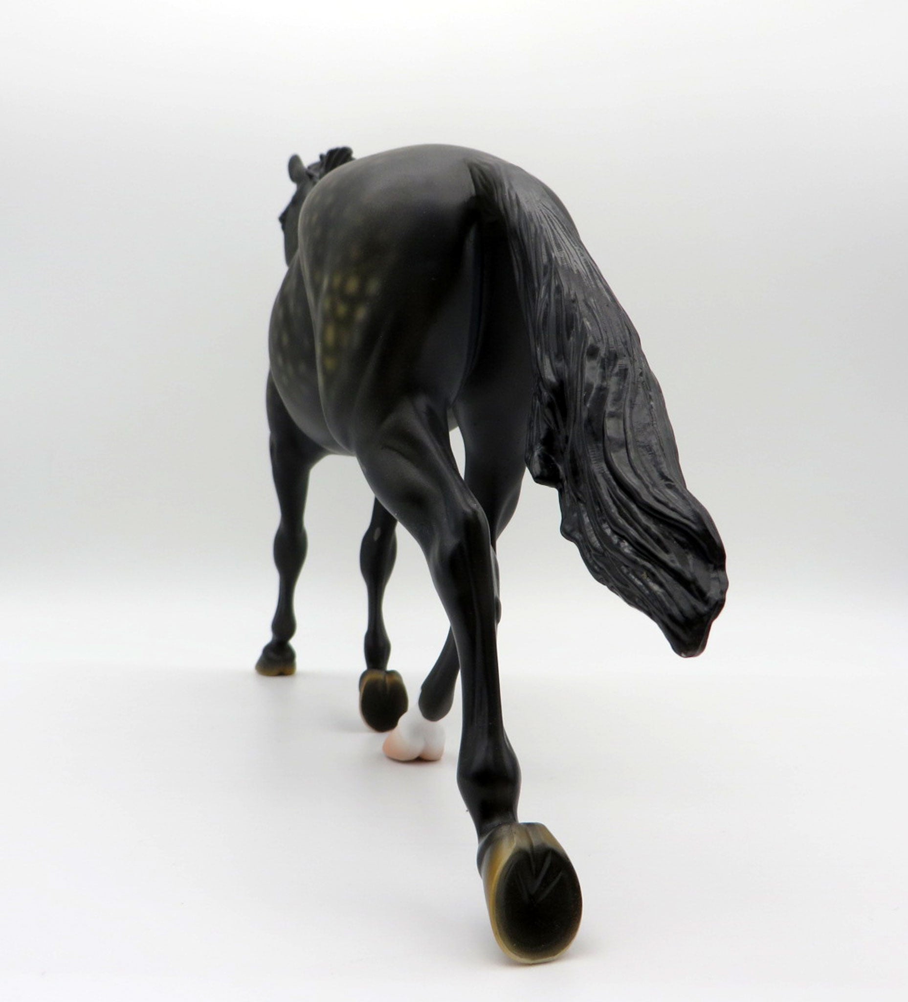 Campfire Songs-OOAK Dapple Black Palouse Painted By Ellen Robbins 6/11/21