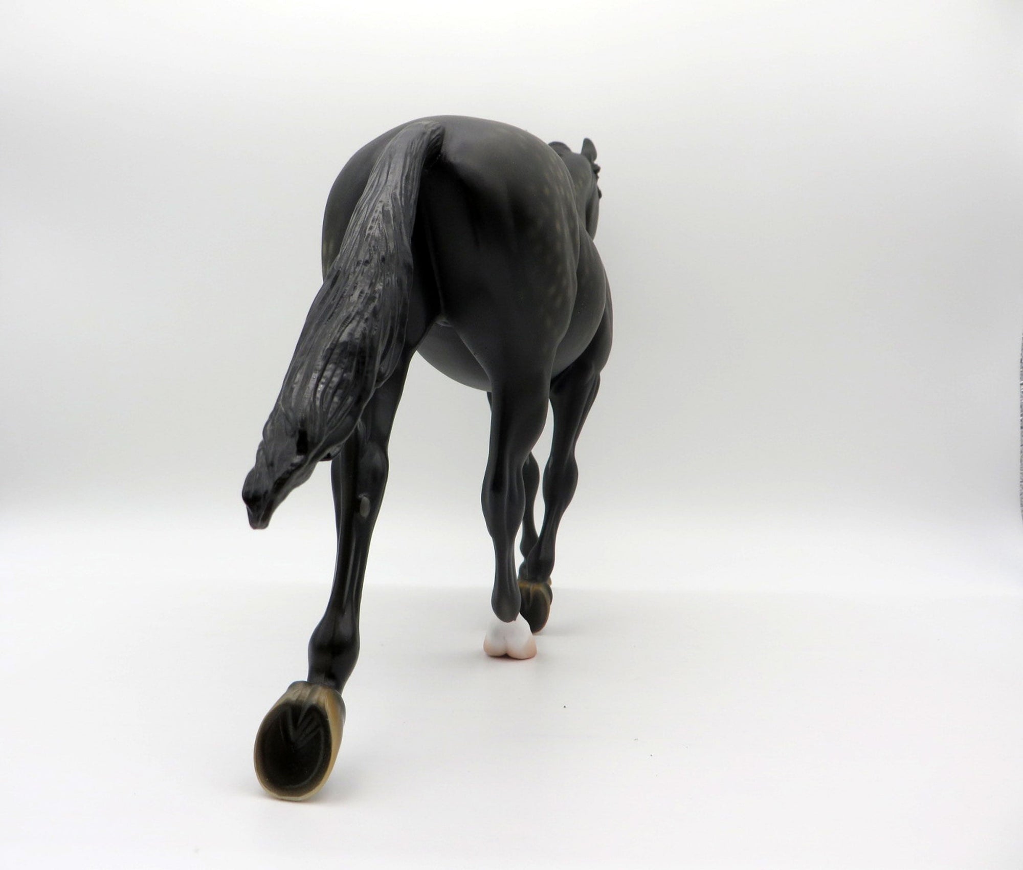 Campfire Songs-OOAK Dapple Black Palouse Painted By Ellen Robbins 6/11/21