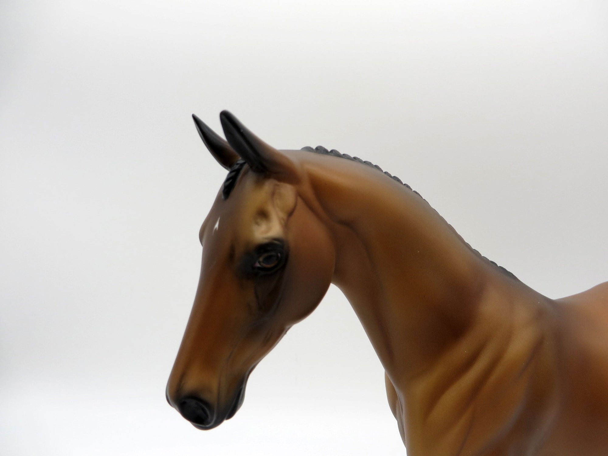 Canna-OOAK Buckskin Pinto Pony SHCF 2021