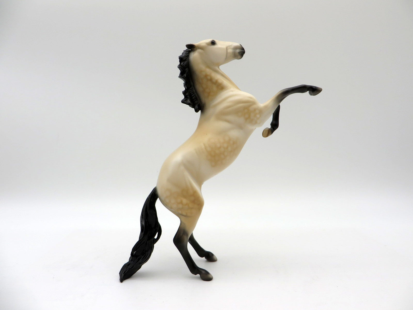 Canyon-OOAK Dapple Buckskin Rearing Pebbles Painted By Audrey Dixon  5/28/21