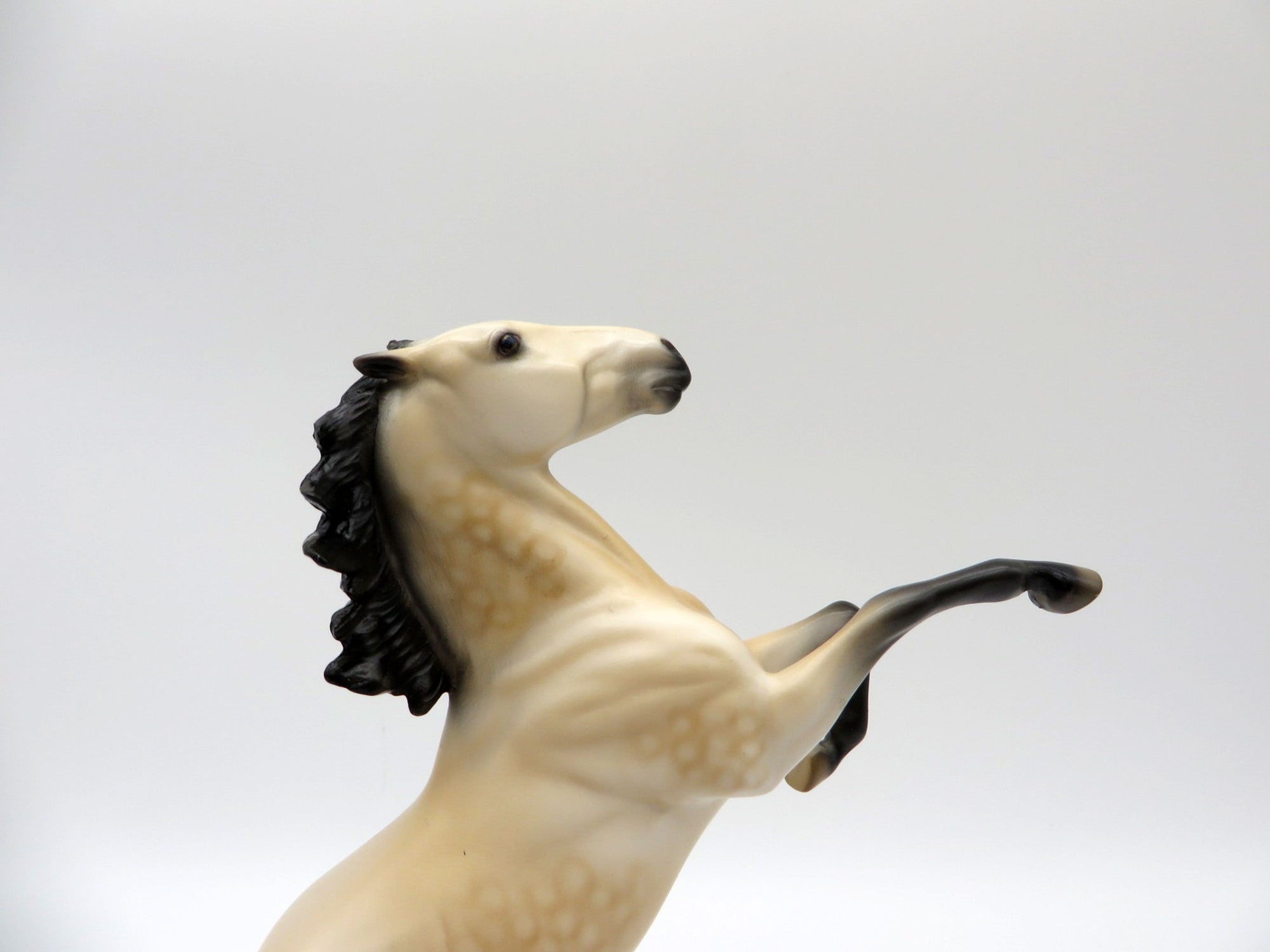 Canyon-OOAK Dapple Buckskin Rearing Pebbles Painted By Audrey Dixon  5/28/21