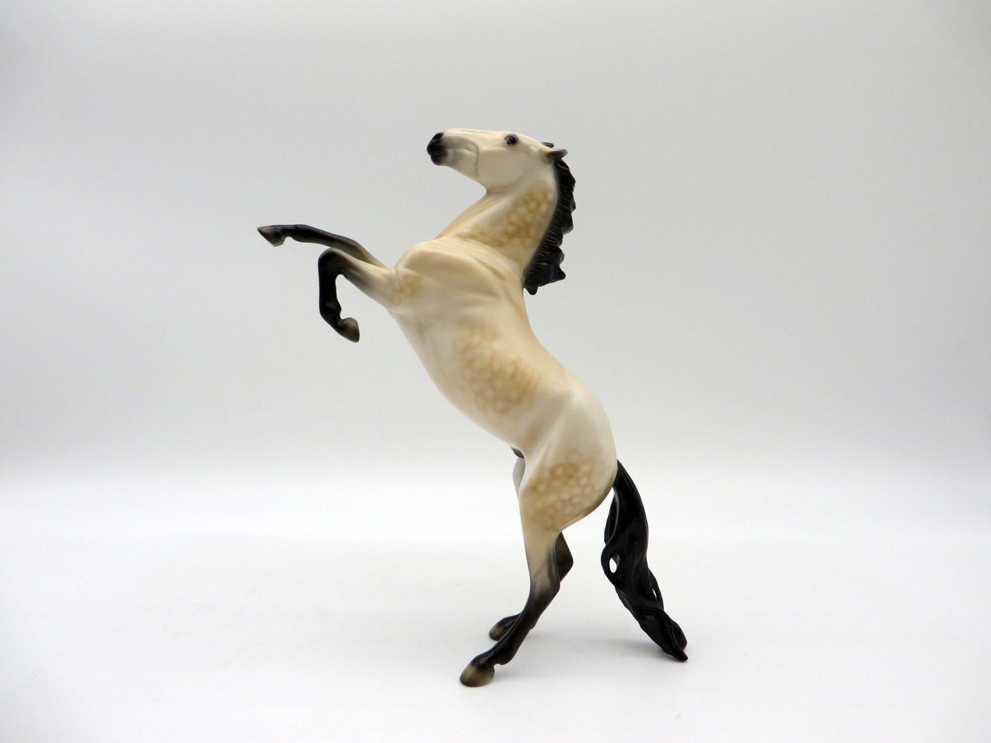 Canyon-OOAK Dapple Buckskin Rearing Pebbles Painted By Audrey Dixon  5/28/21