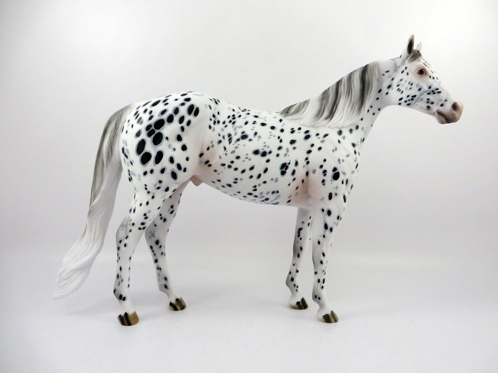 Caoimhe-OOAK Loud Appaloosa ISH Painted By Dawn Quick 4/13/21