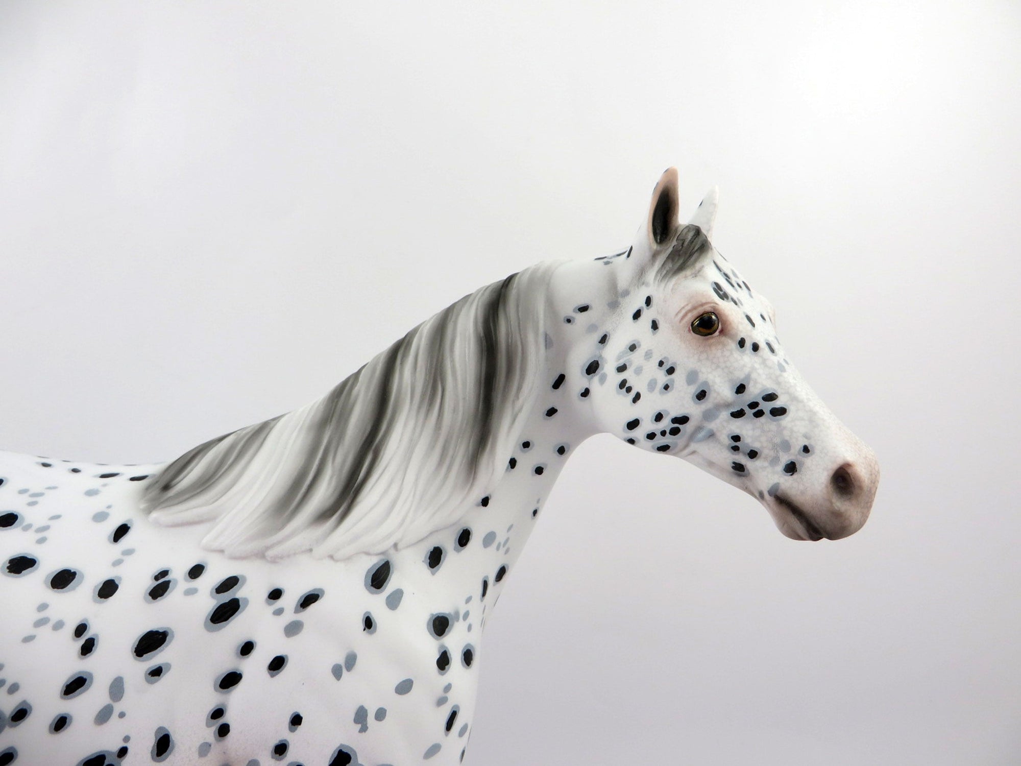Caoimhe-OOAK Loud Appaloosa ISH Painted By Dawn Quick 4/13/21