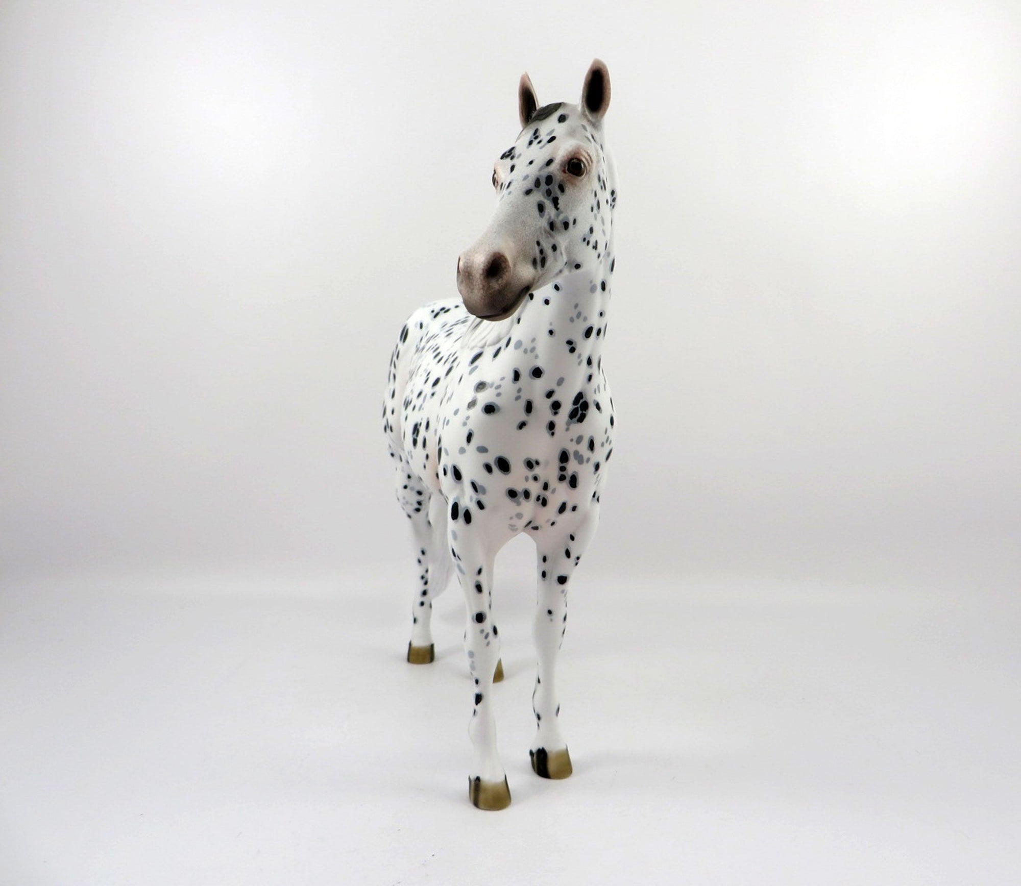 Caoimhe-OOAK Loud Appaloosa ISH Painted By Dawn Quick 4/13/21