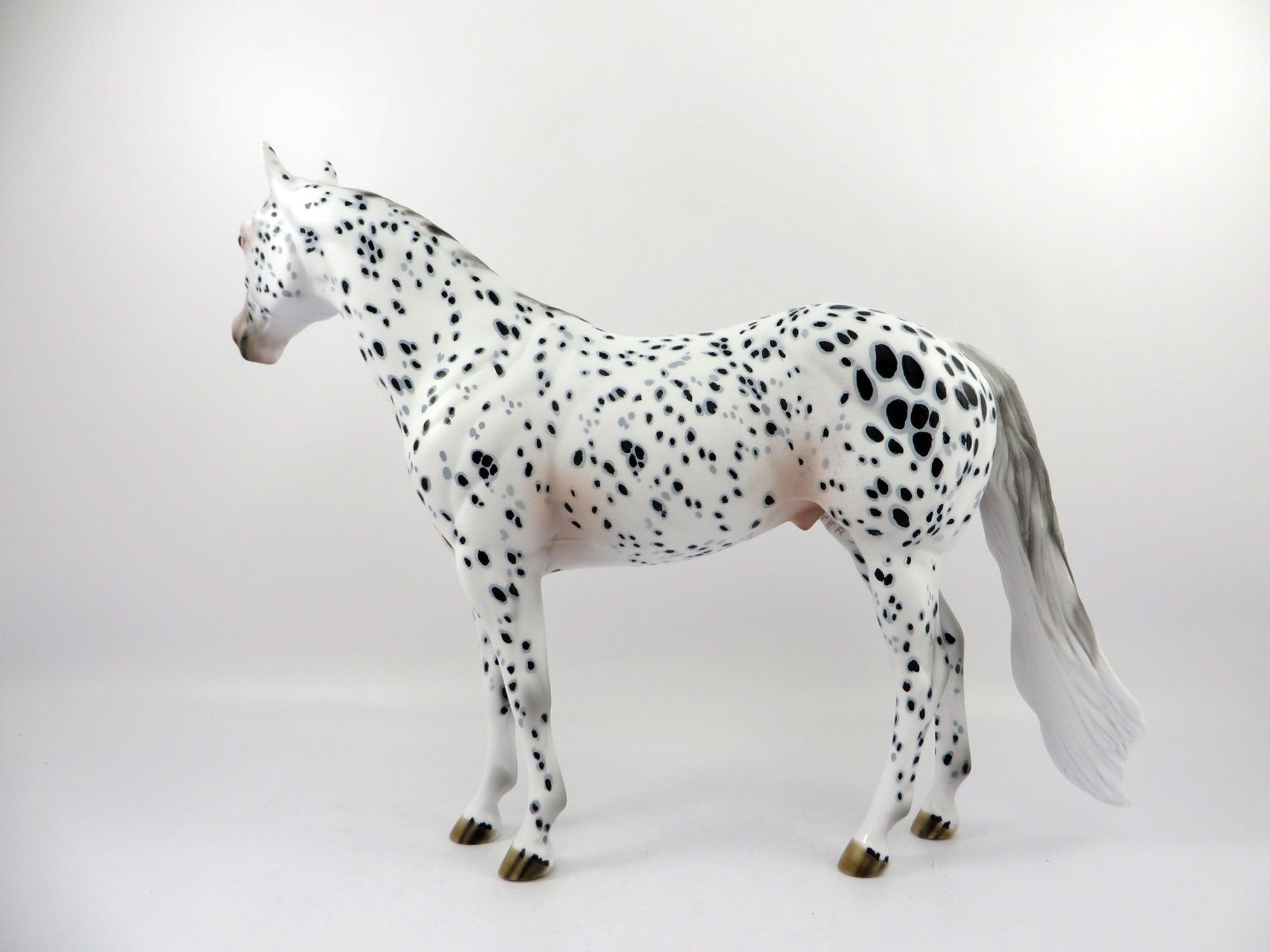 Caoimhe-OOAK Loud Appaloosa ISH Painted By Dawn Quick 4/13/21