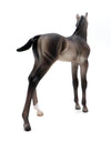 Capistrano-OOAK Buckskin Foal by Caroline Boydston 10/11/21