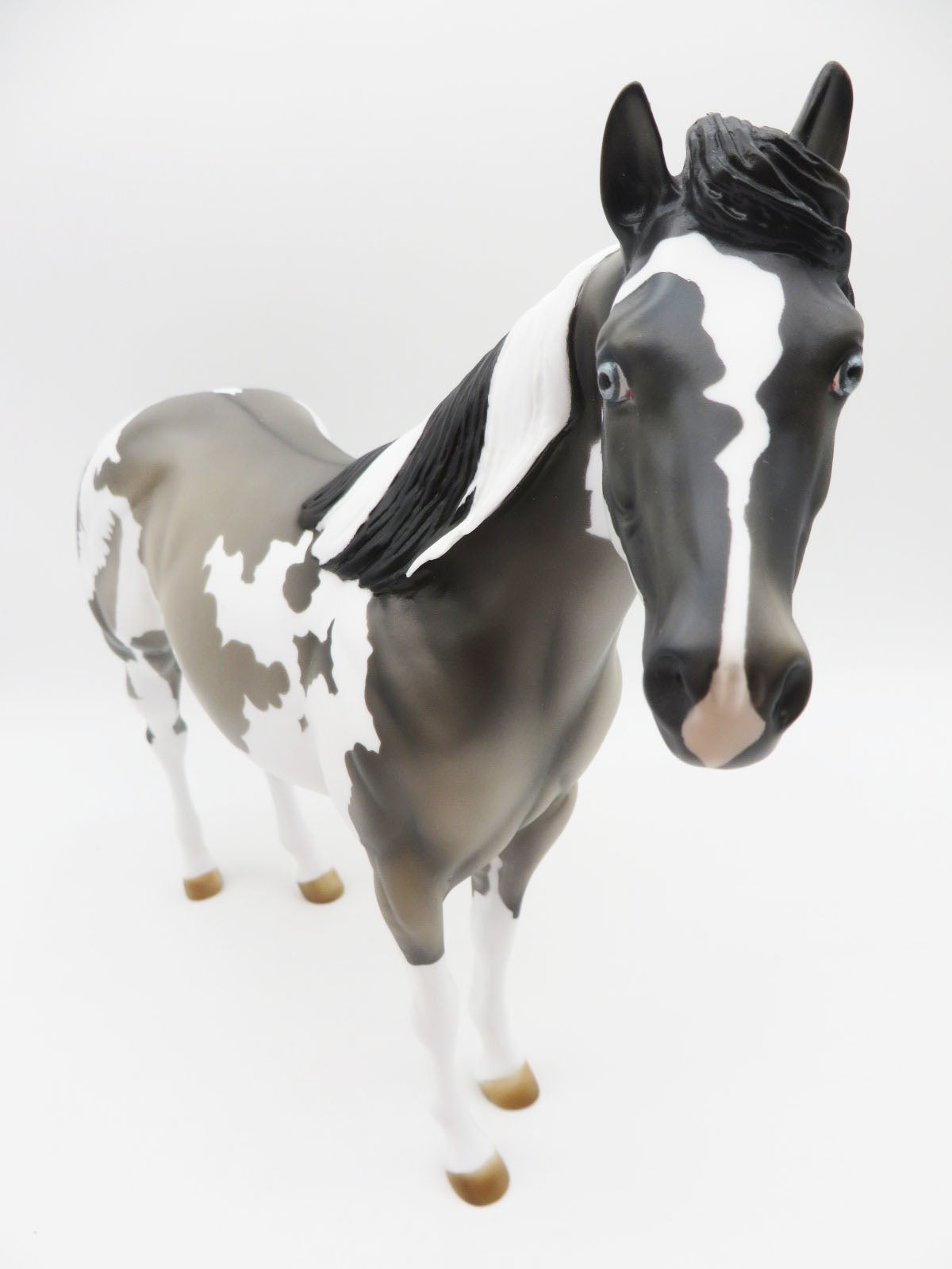 Captain Hook - November Classic Literature Series - LE 15 - Grulla Tobiano Ideal Stock Horse By Julie Keim CL22