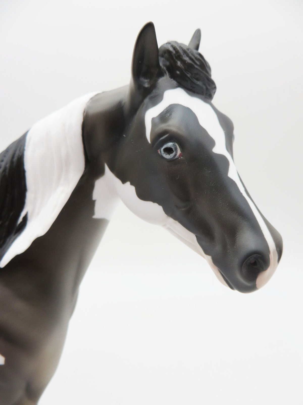 Captain Hook - November Classic Literature Series - LE 15 - Grulla Tobiano Ideal Stock Horse By Julie Keim CL22