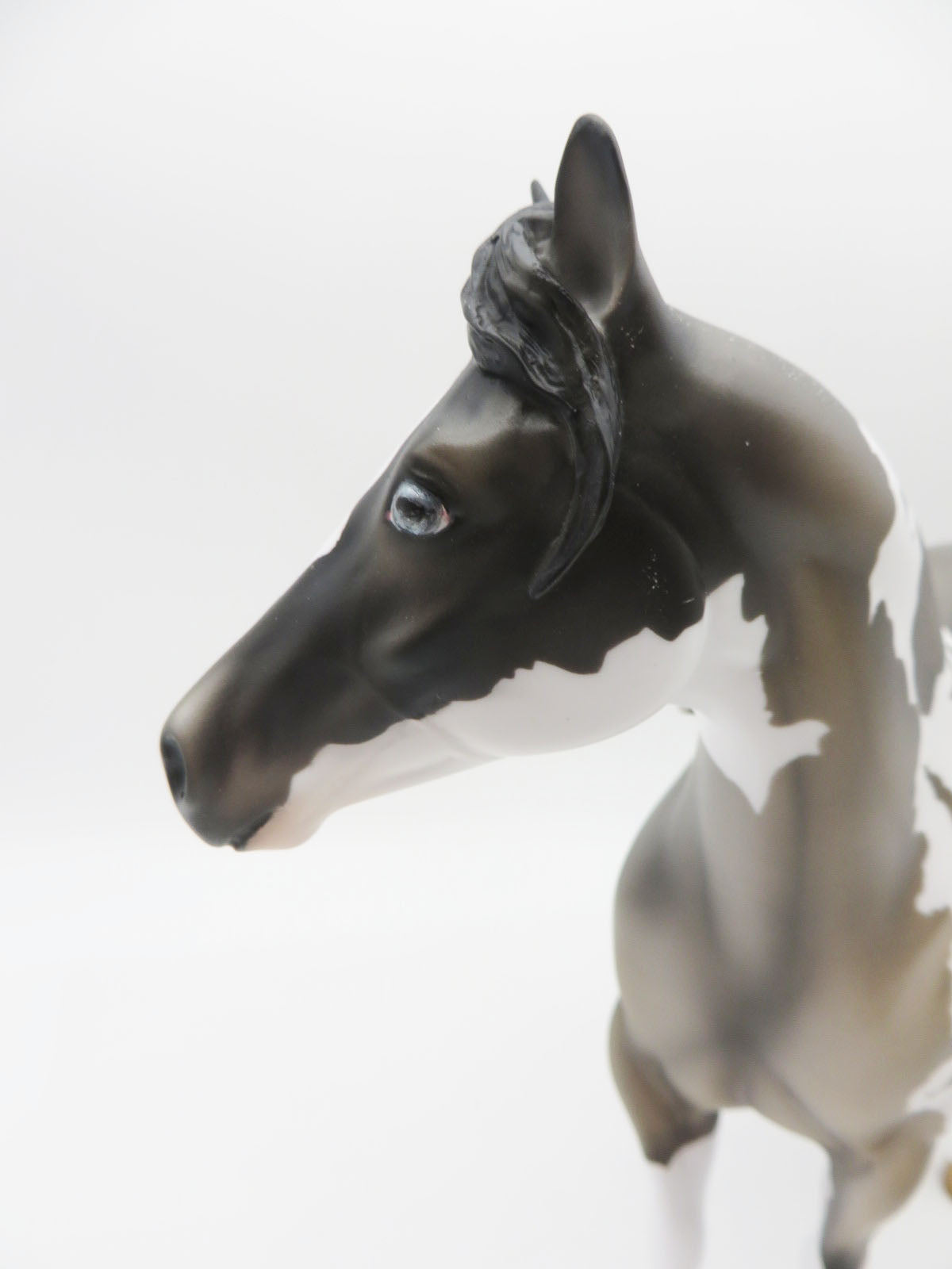 Captain Hook - November Classic Literature Series - LE 15 - Grulla Tobiano Ideal Stock Horse By Julie Keim CL22