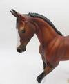Captain-OOAK Dapple Bay Thoroughbred By Ellen Robbins  P&amp;C 23