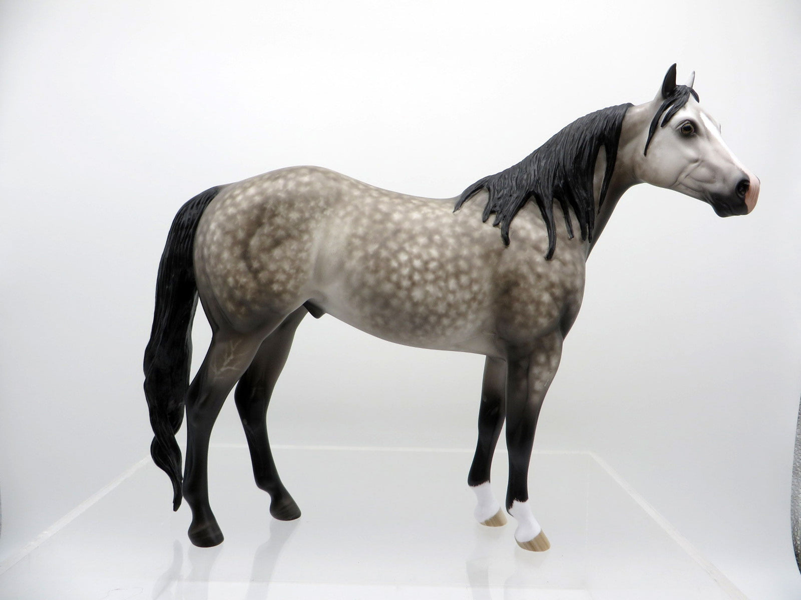 Carson-OOAK Dapple Grey ISH Painted By Sheryl Leisure 3/22