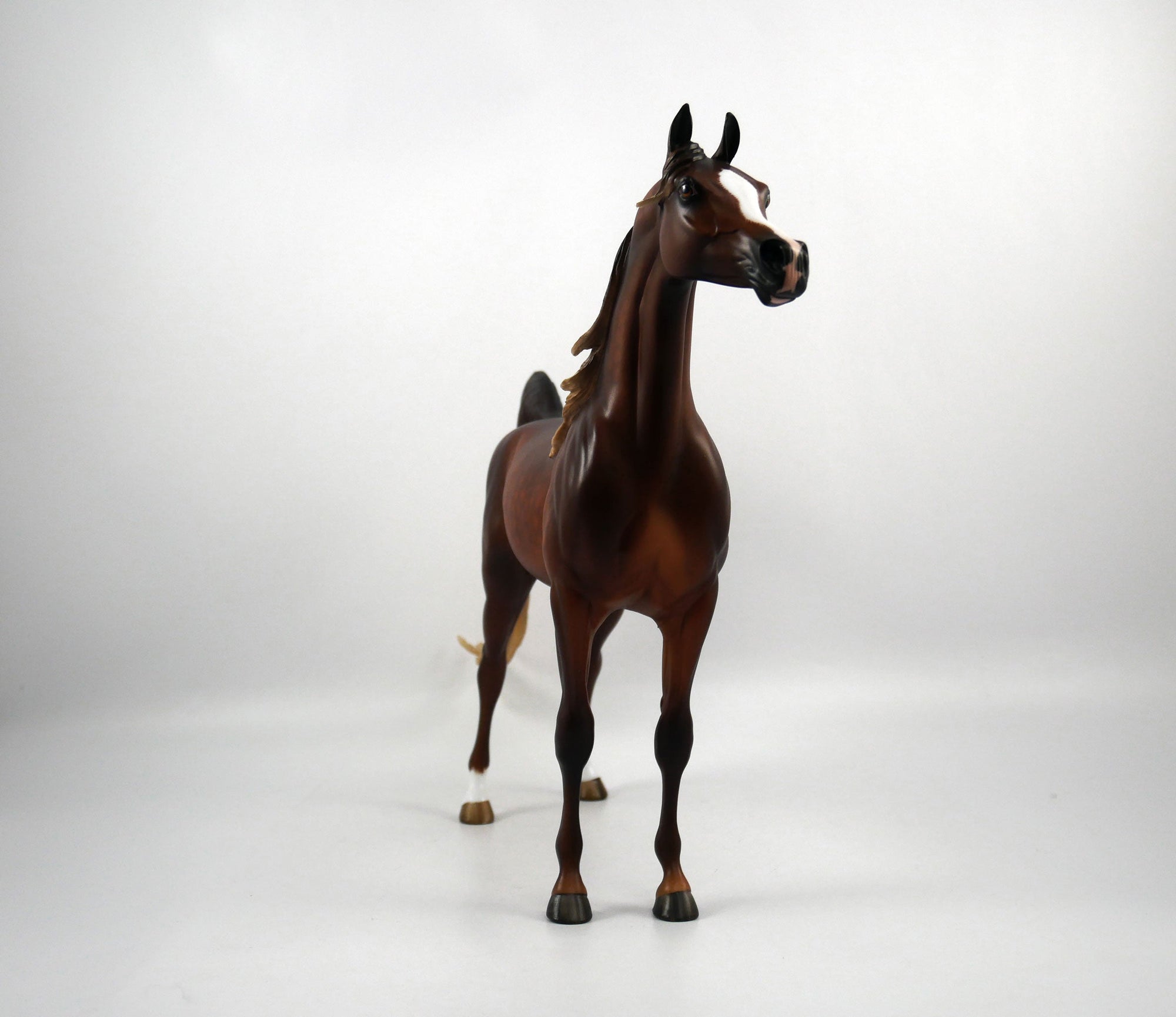 Carvelli-OOAK Dapple Chestnut Arabian Painted By Sheryl Leisure 1/29/21