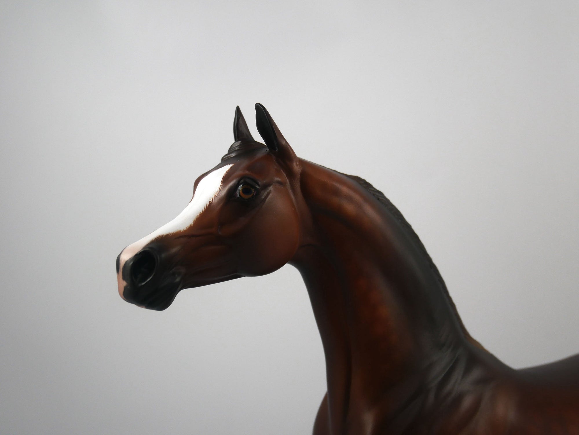 Carvelli-OOAK Dapple Chestnut Arabian Painted By Sheryl Leisure 1/29/21