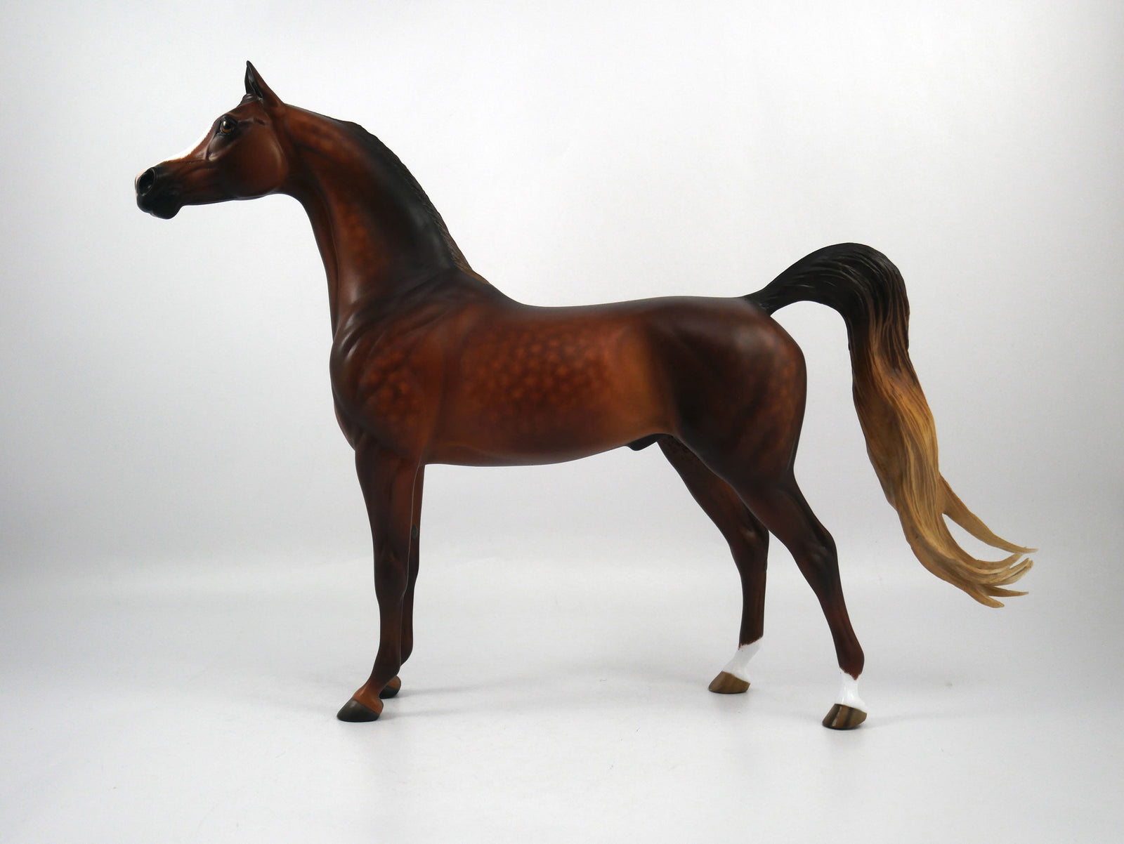 Carvelli-OOAK Dapple Chestnut Arabian Painted By Sheryl Leisure 1/29/21
