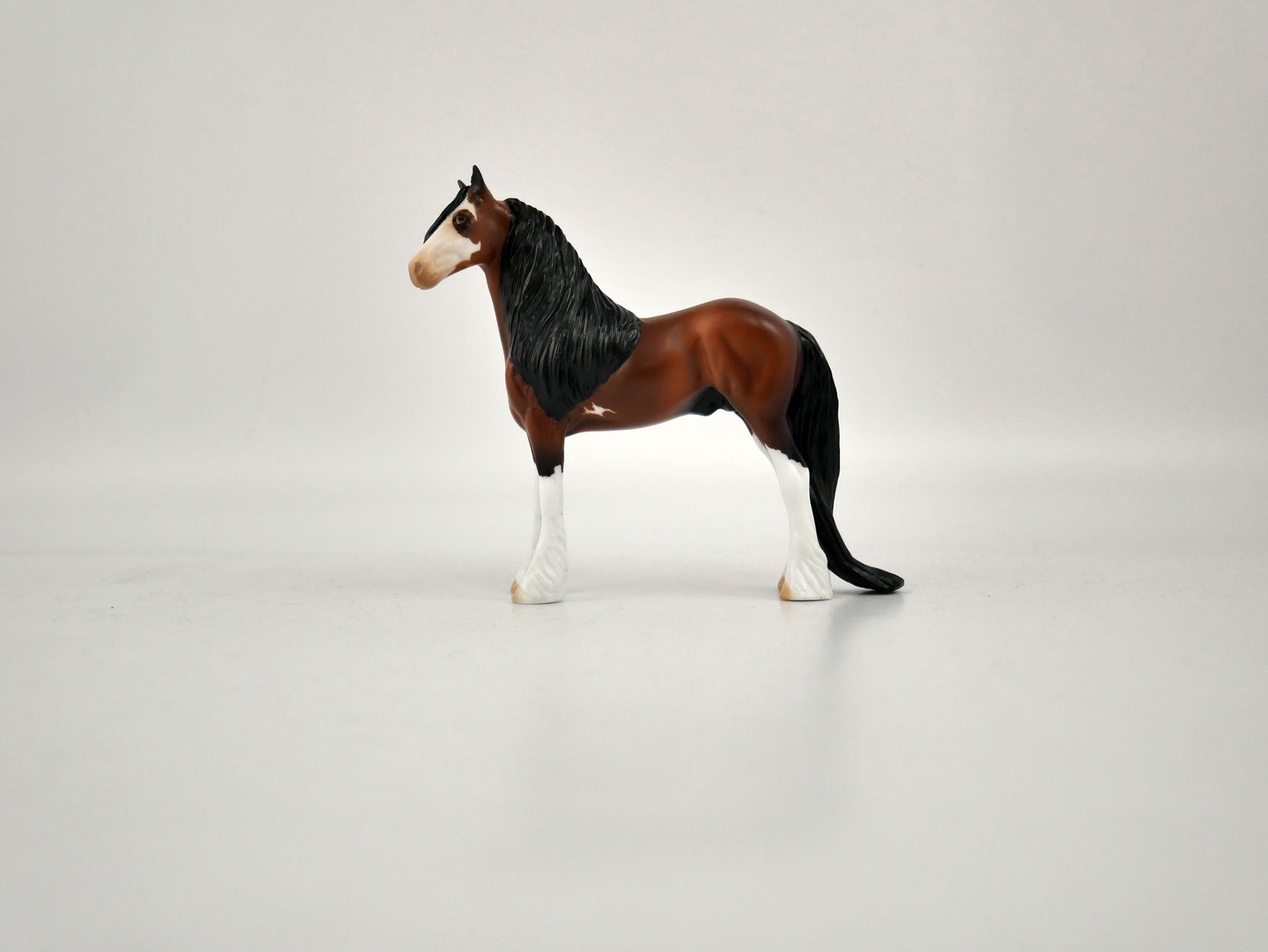 What is inside the Box> Cash 12/20