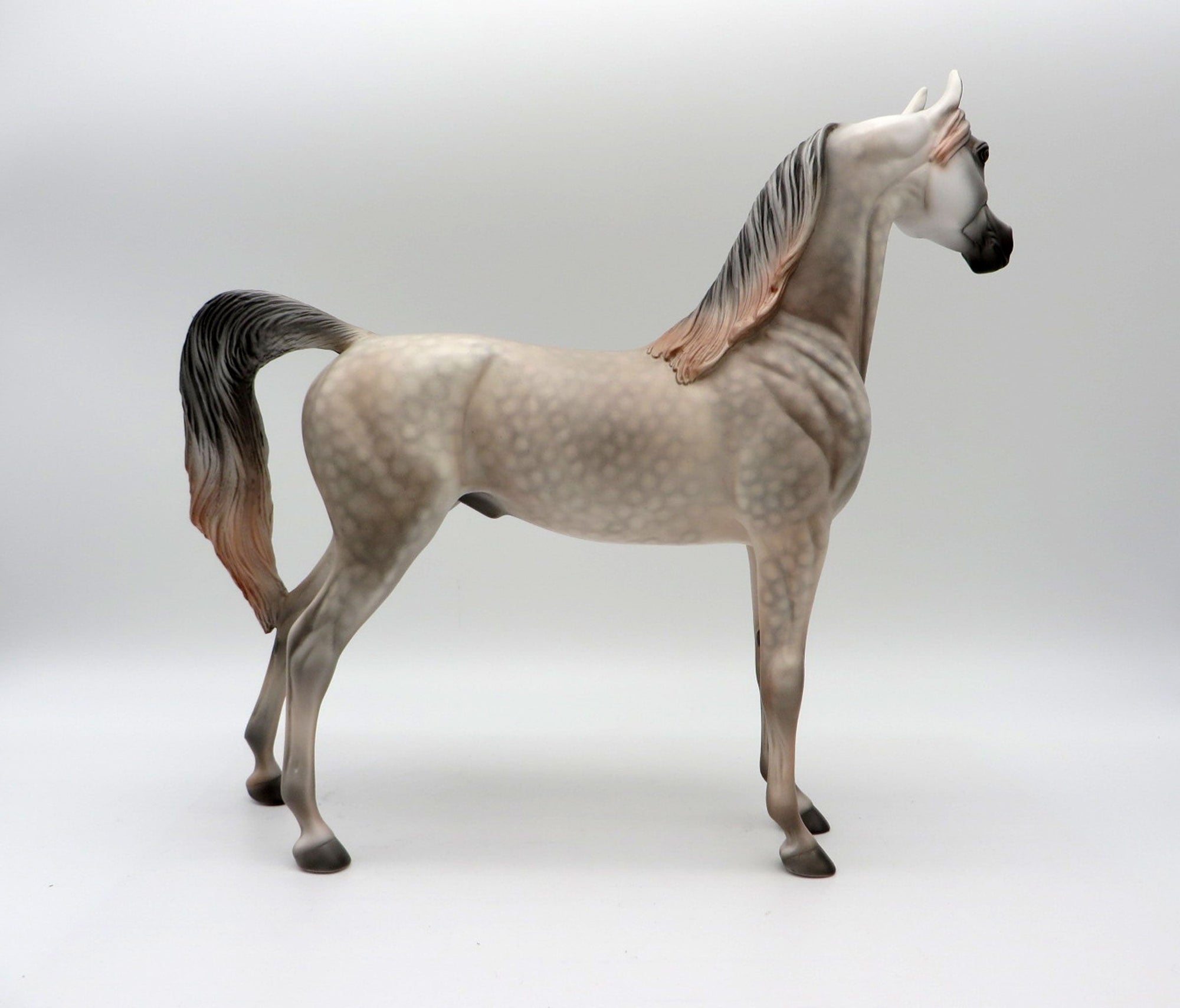 Cashmere-OOAK Dapple Grey Arabian Painted By Dawn Quick 5/14/21
